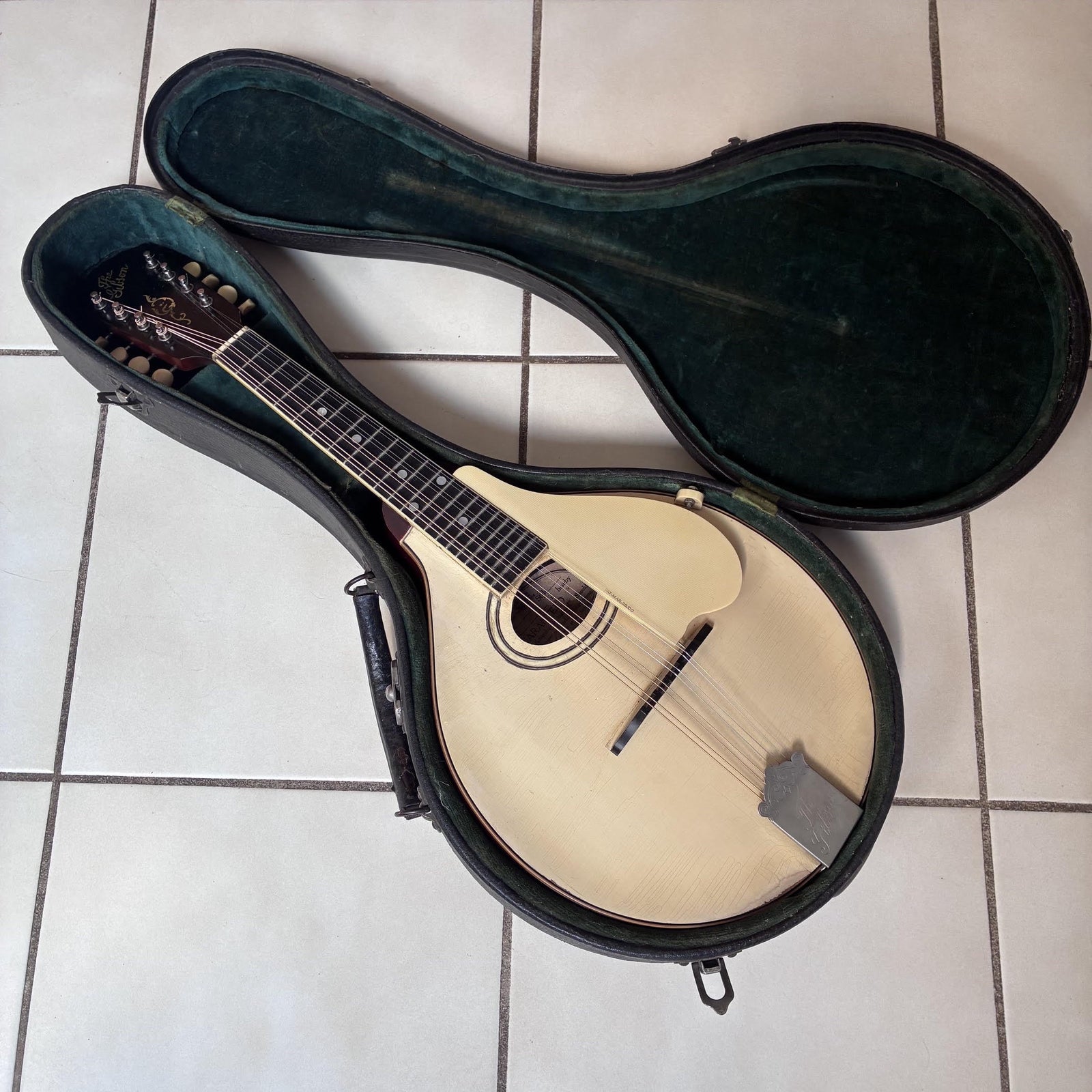Vintage 1920 Gibson A-3 White Top Mandolin & Case