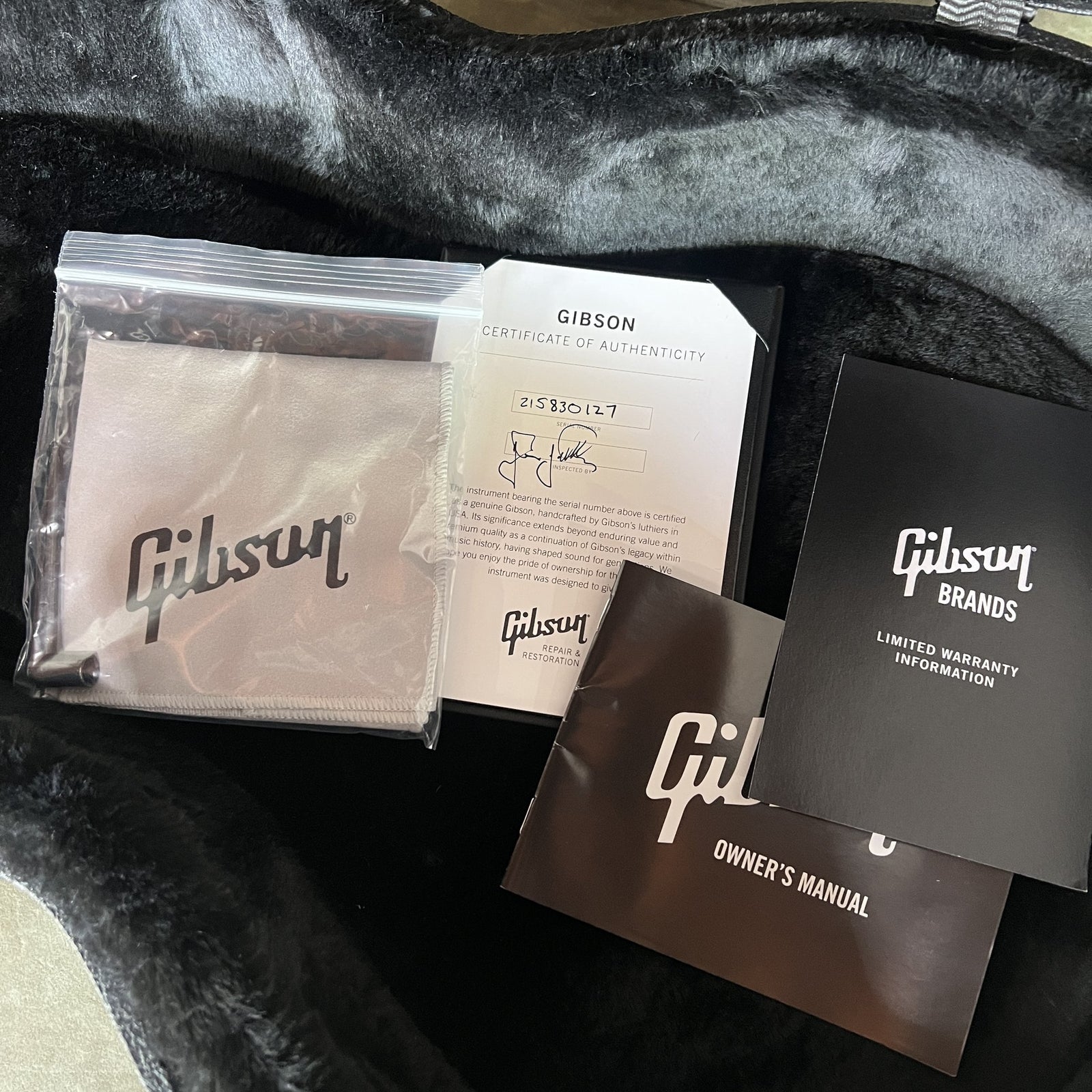 Gibson Les Paul Standard Adam Jones - Silver Burst