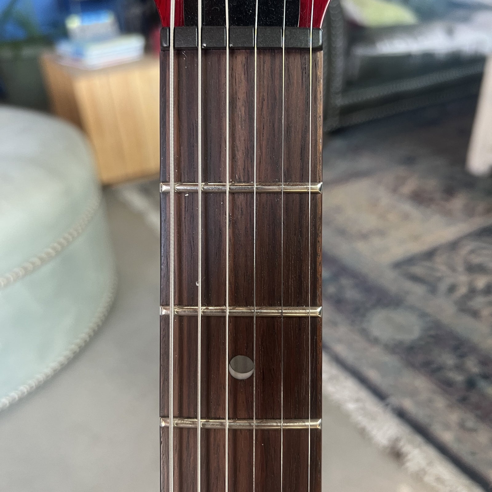 2025 PRS SE DGT Standard (All-Mahogany) Electric Guitar