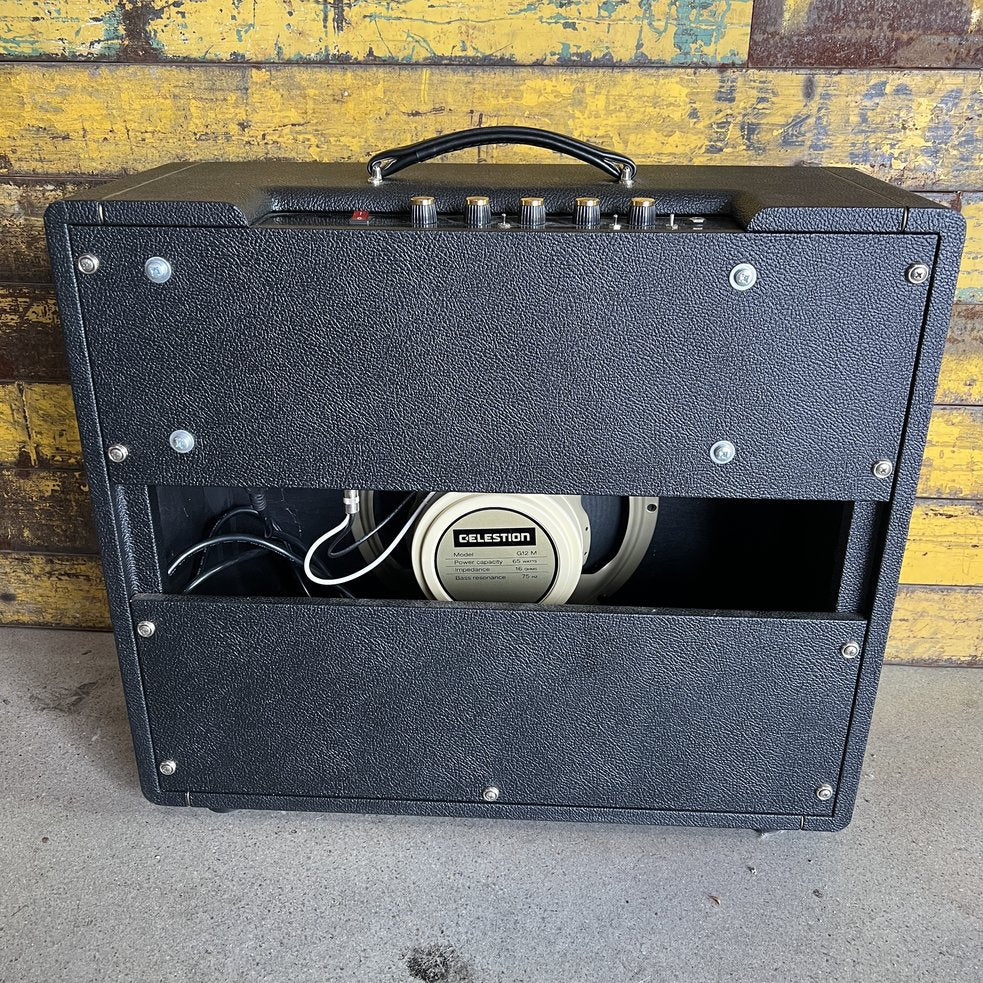 Friedman Amplification Pink Taco V2