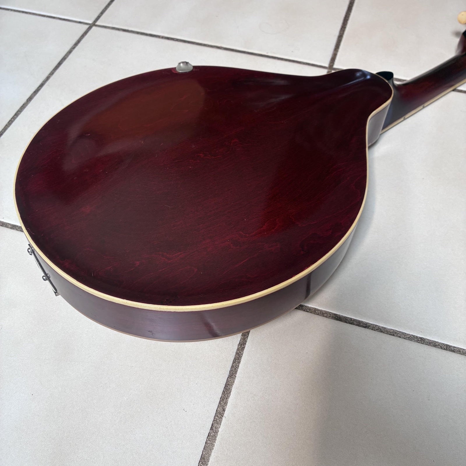 Vintage 1920 Gibson A-3 White Top Mandolin & Case