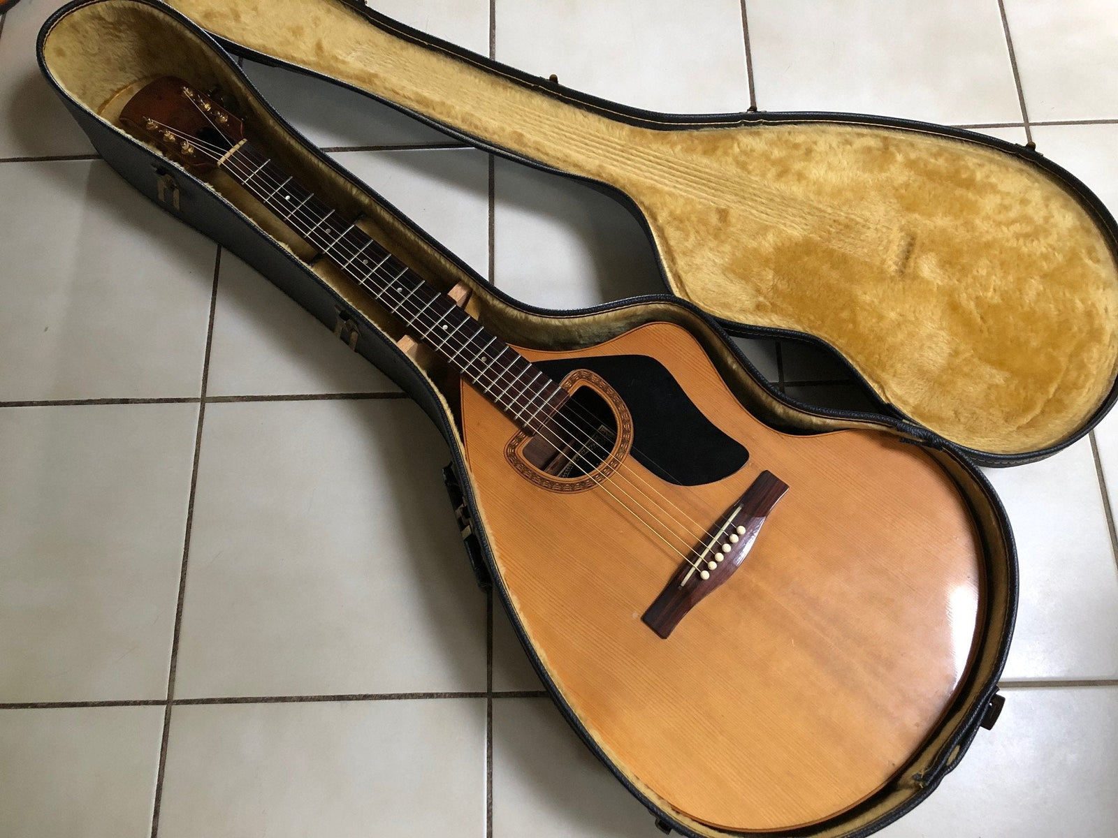Vintage 1970’s Giannini Craviola Acoustic Guitar w/Case