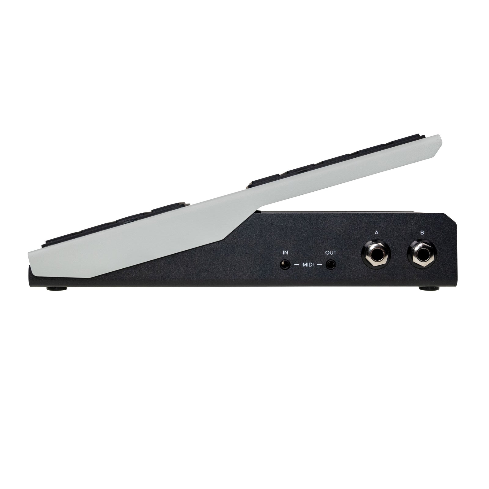Walrus Audio Canvas Expression Pedal
