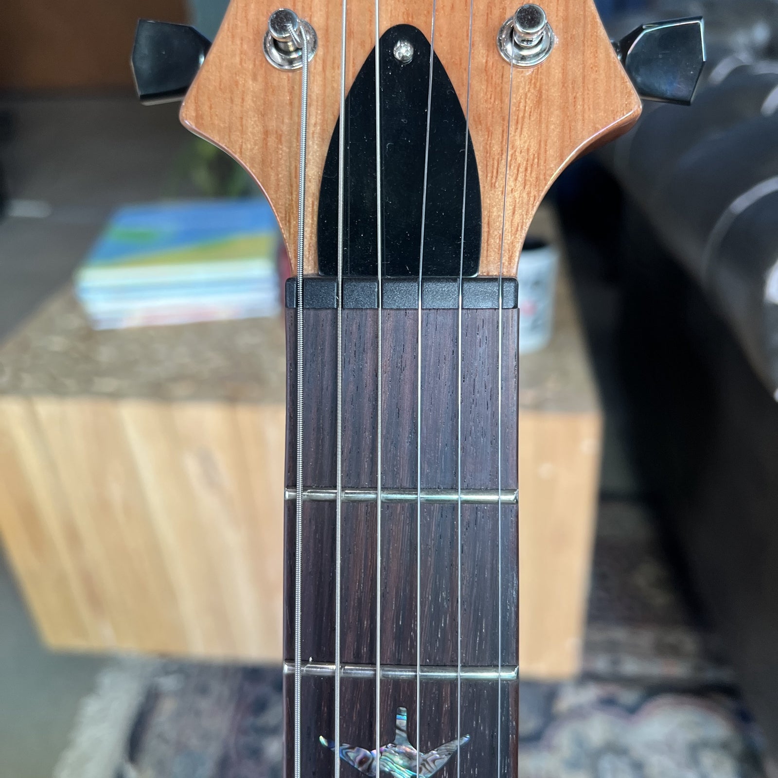 2024 PRS SE Paul's Guitar: Premium Tone with TCI "S" Pickups & Brass Stoptail