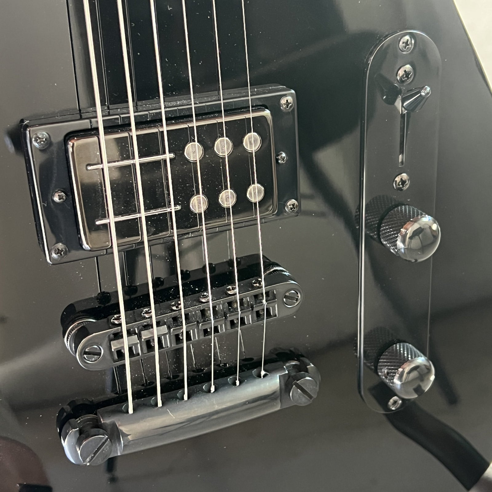 2025 Reverend Charger RA Blackout Edition