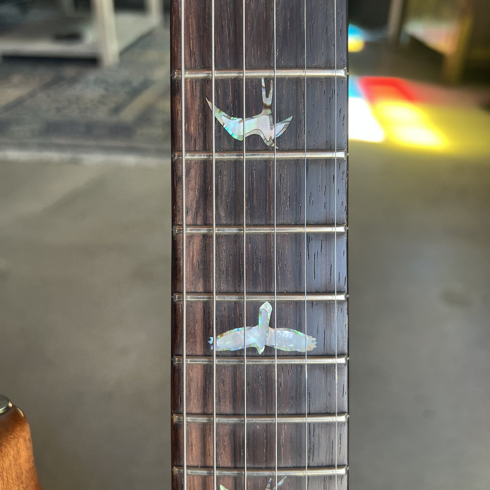 2023 PRS Studio 10-Top Wood Library w/Brazilian Rosewood Fretboard - Eriza Verde Nitro Burst