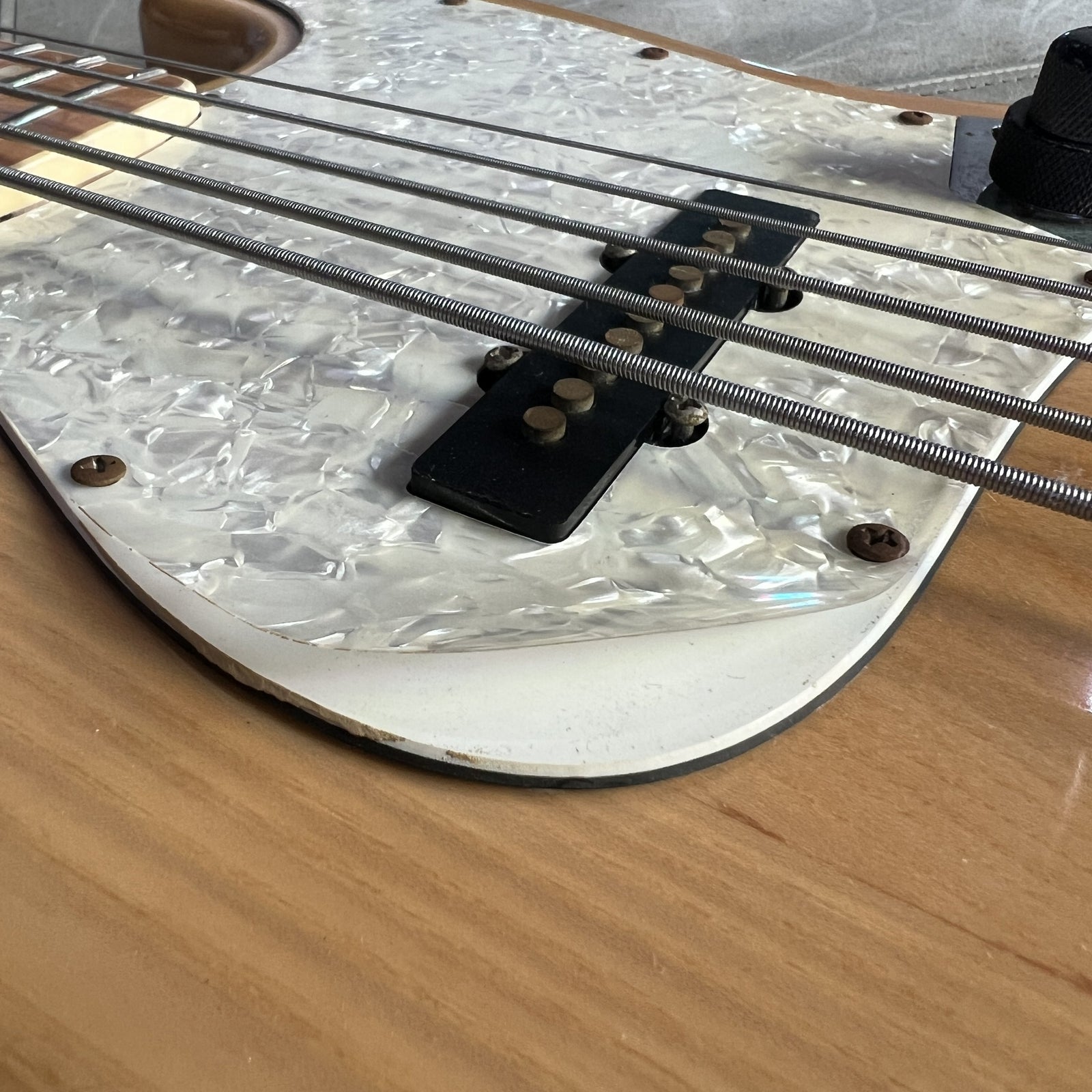 Certain Bass Elita Model 500 - 5 String J-Style