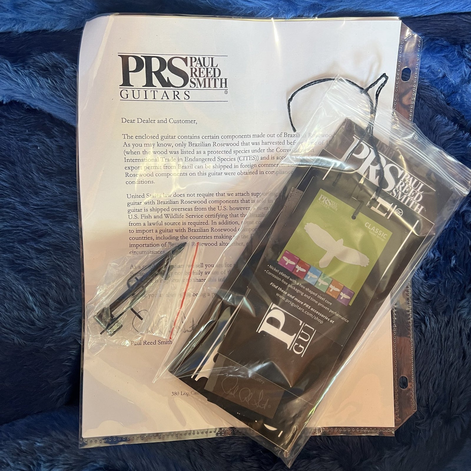 2023 PRS Studio 10-Top Wood Library w/Brazilian Rosewood Fretboard - Eriza Verde Nitro Burst