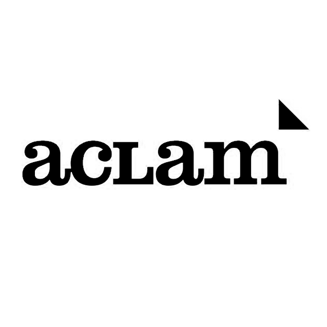 Aclam Guitars