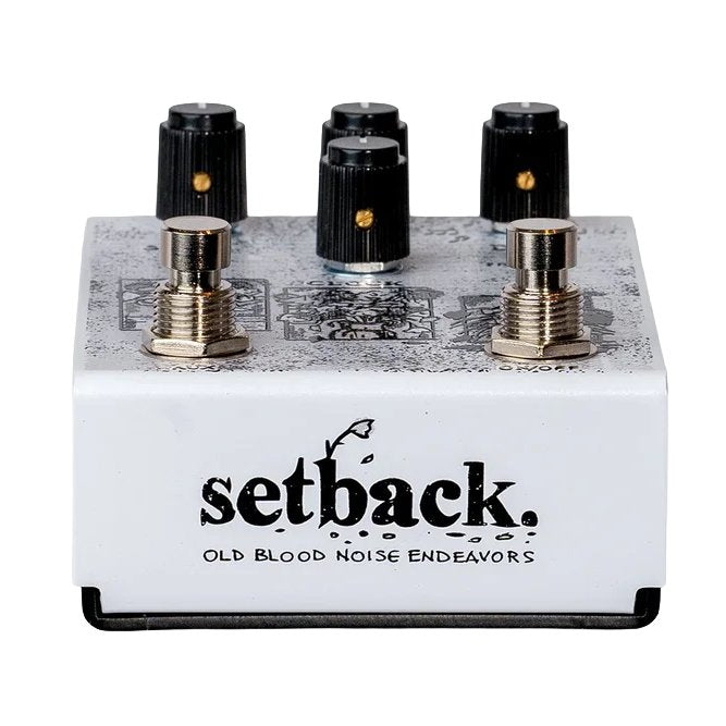 Old Blood Noise Endeavors Setback: Stereo Textural Reverse Delay Pedal - Petunia