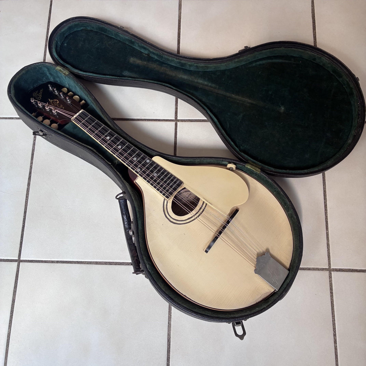 Vintage 1920 Gibson A-3 White Top Mandolin & Case