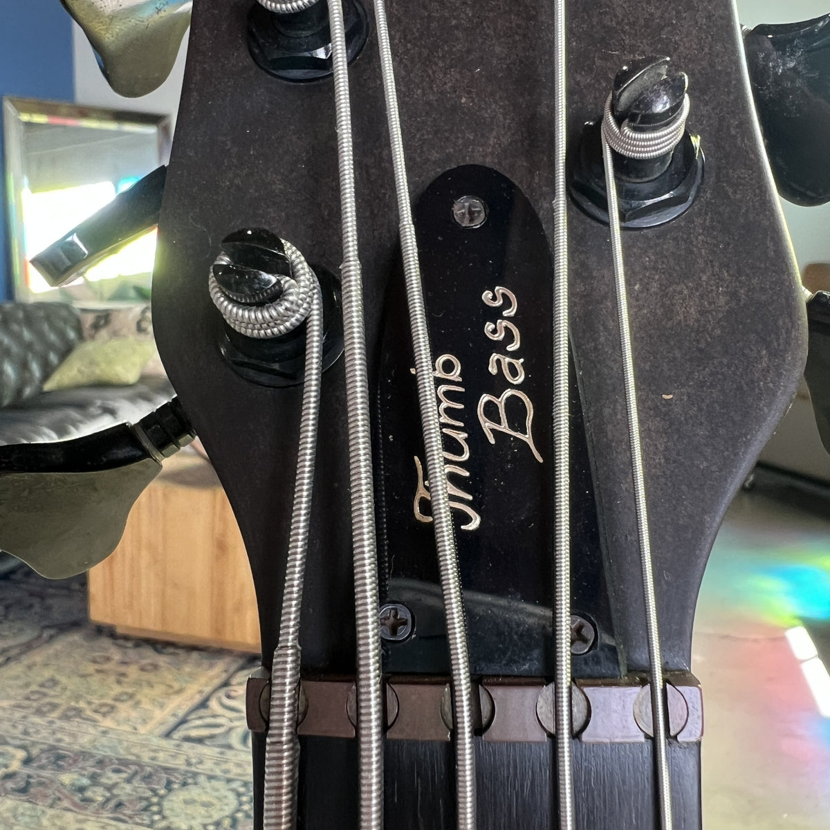 1989 Warwick Thumb Bass - 5 String / Fretless