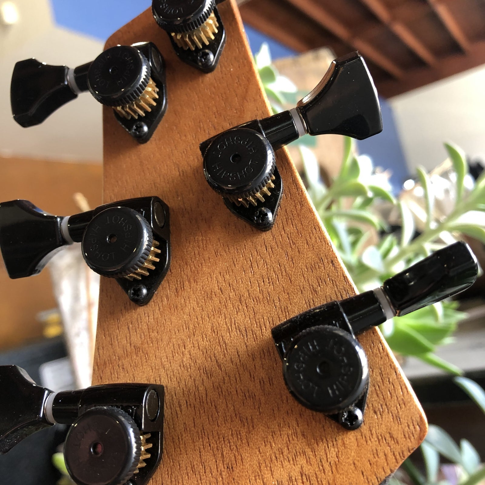 Koca Guitars Leaf