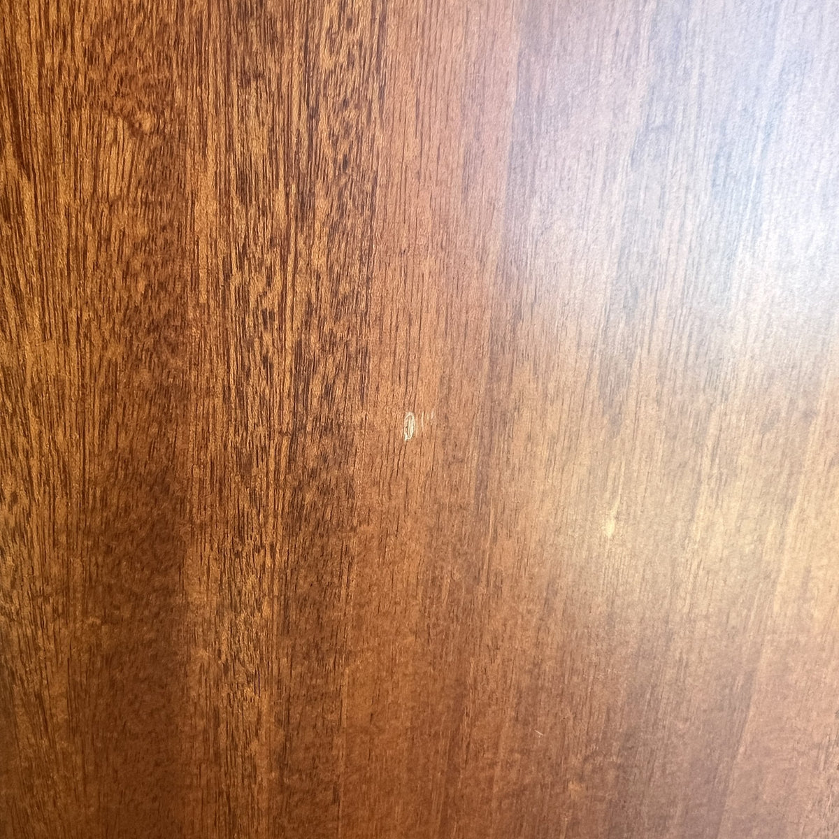 Taylor 310CE-L4 Acoustic Guitar