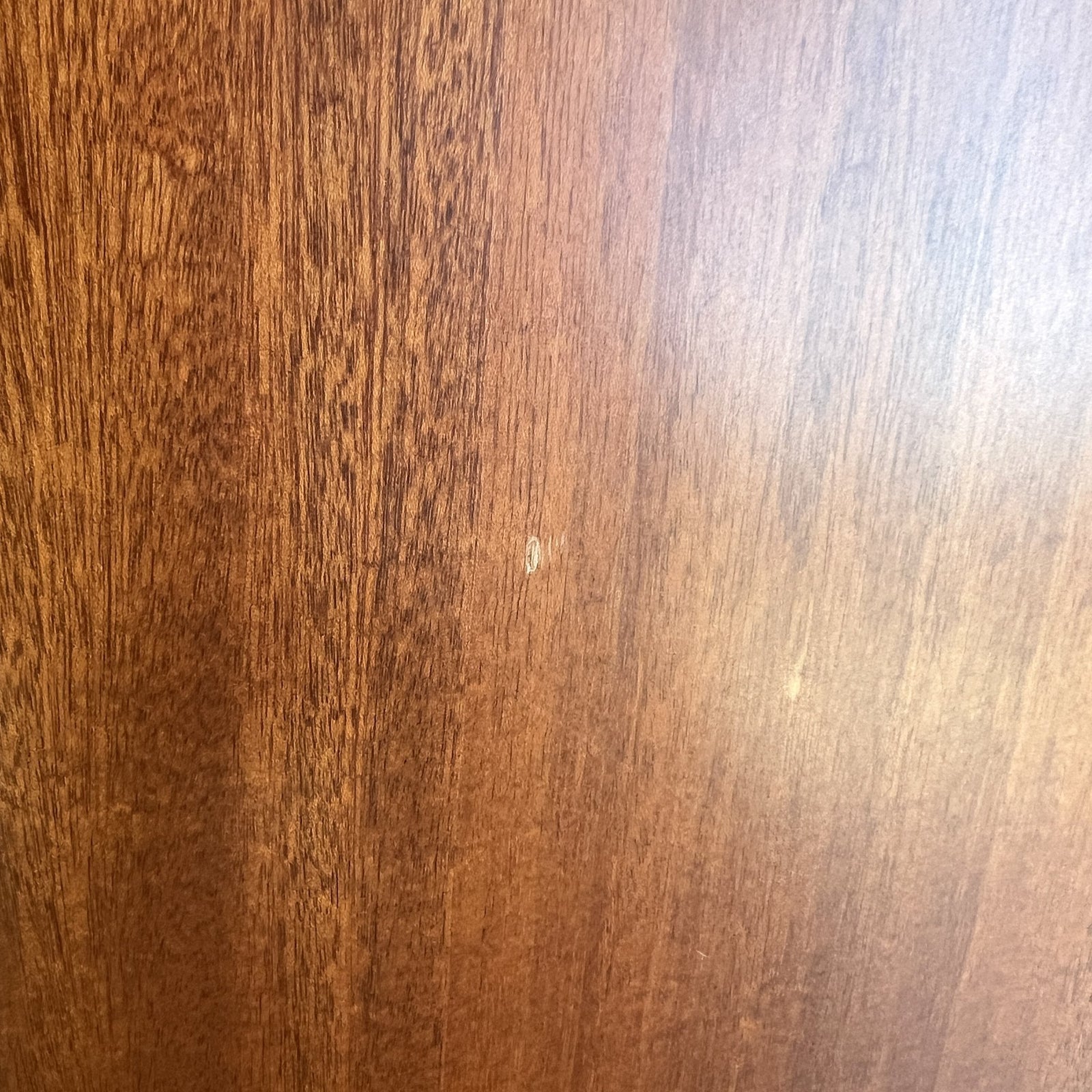 Taylor 310CE-L4 Acoustic Guitar