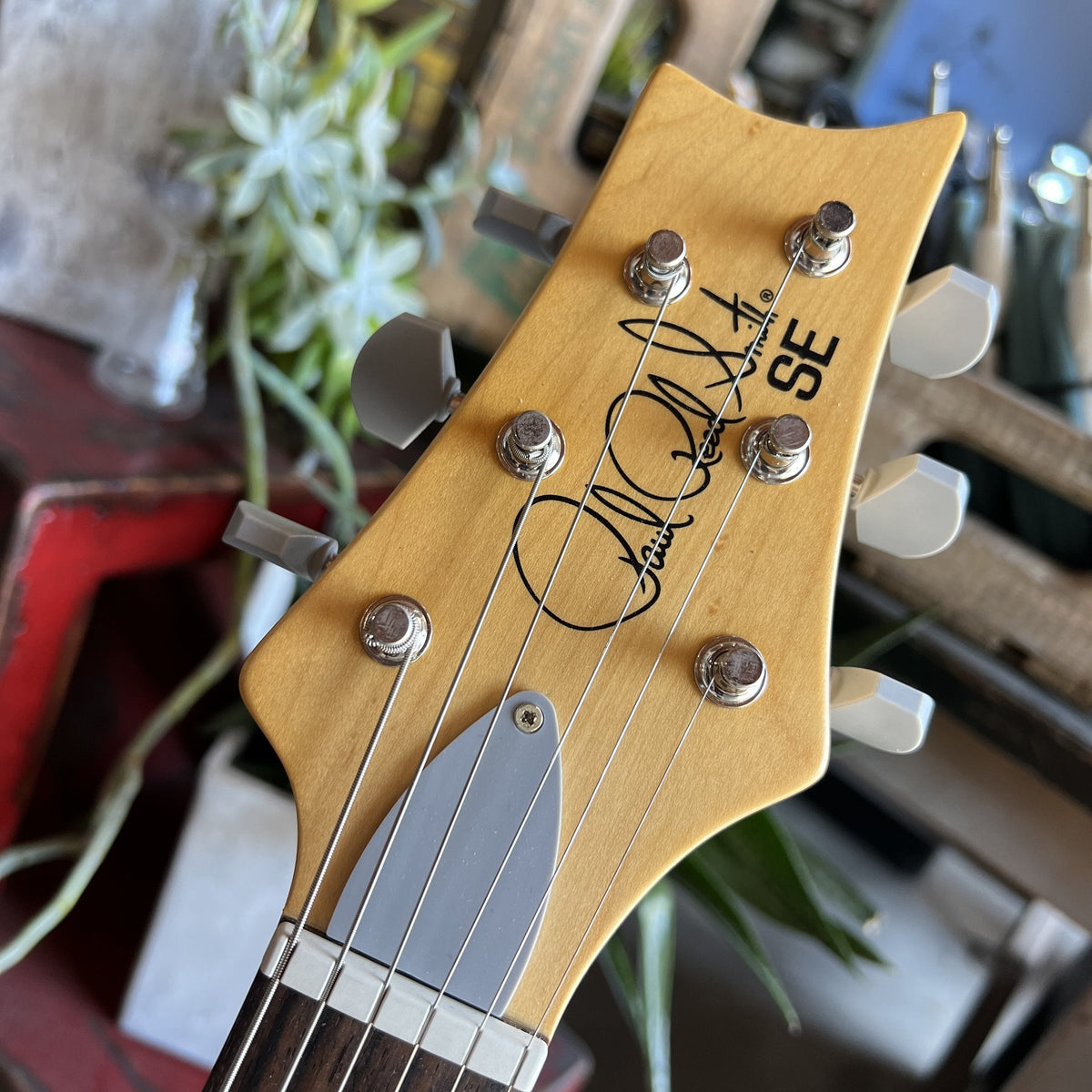 2021 PRS SE Silver Sky - Ever Green