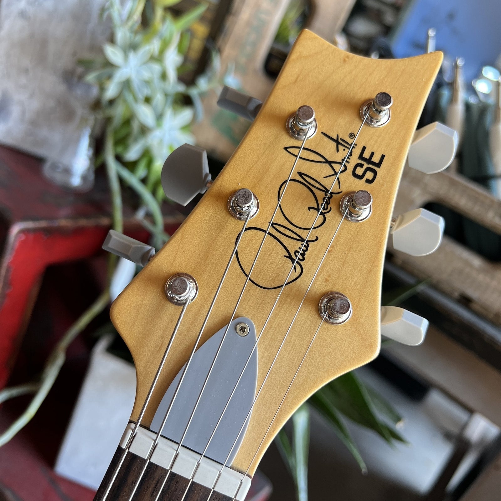 2021 PRS SE Silver Sky - Ever Green