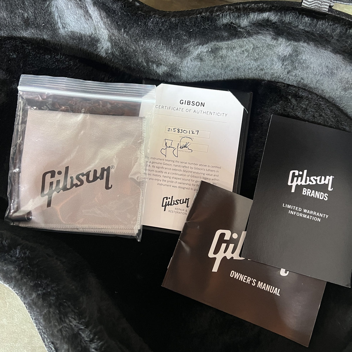 Gibson Les Paul Standard Adam Jones - Silver Burst
