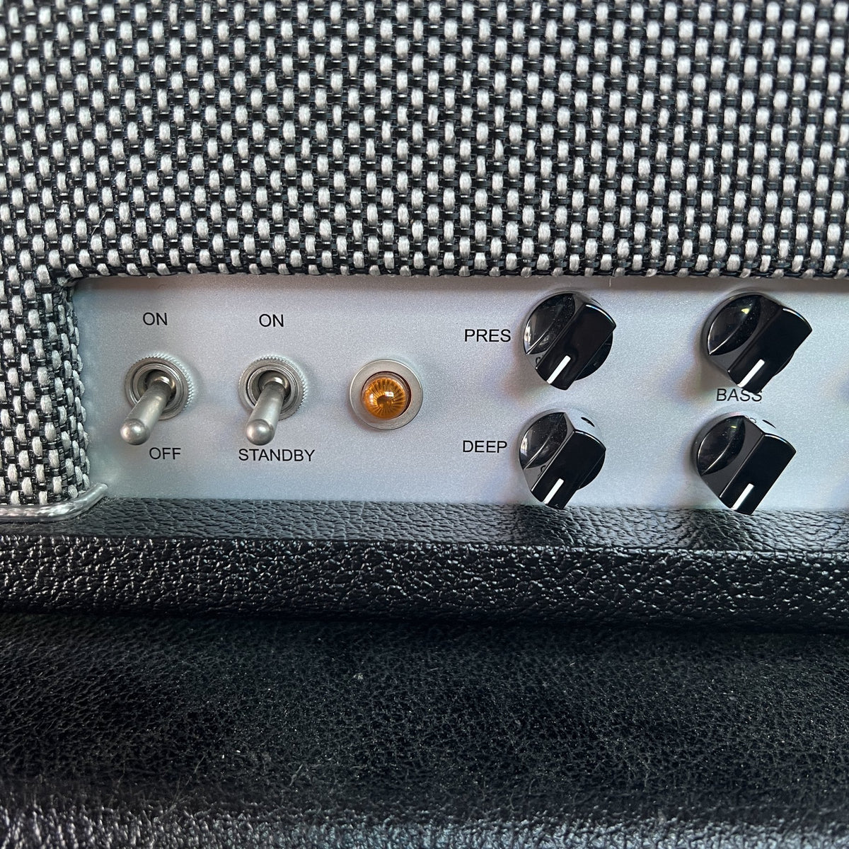 Friedman Twin Sister 40-Watt Dual-Channel Head