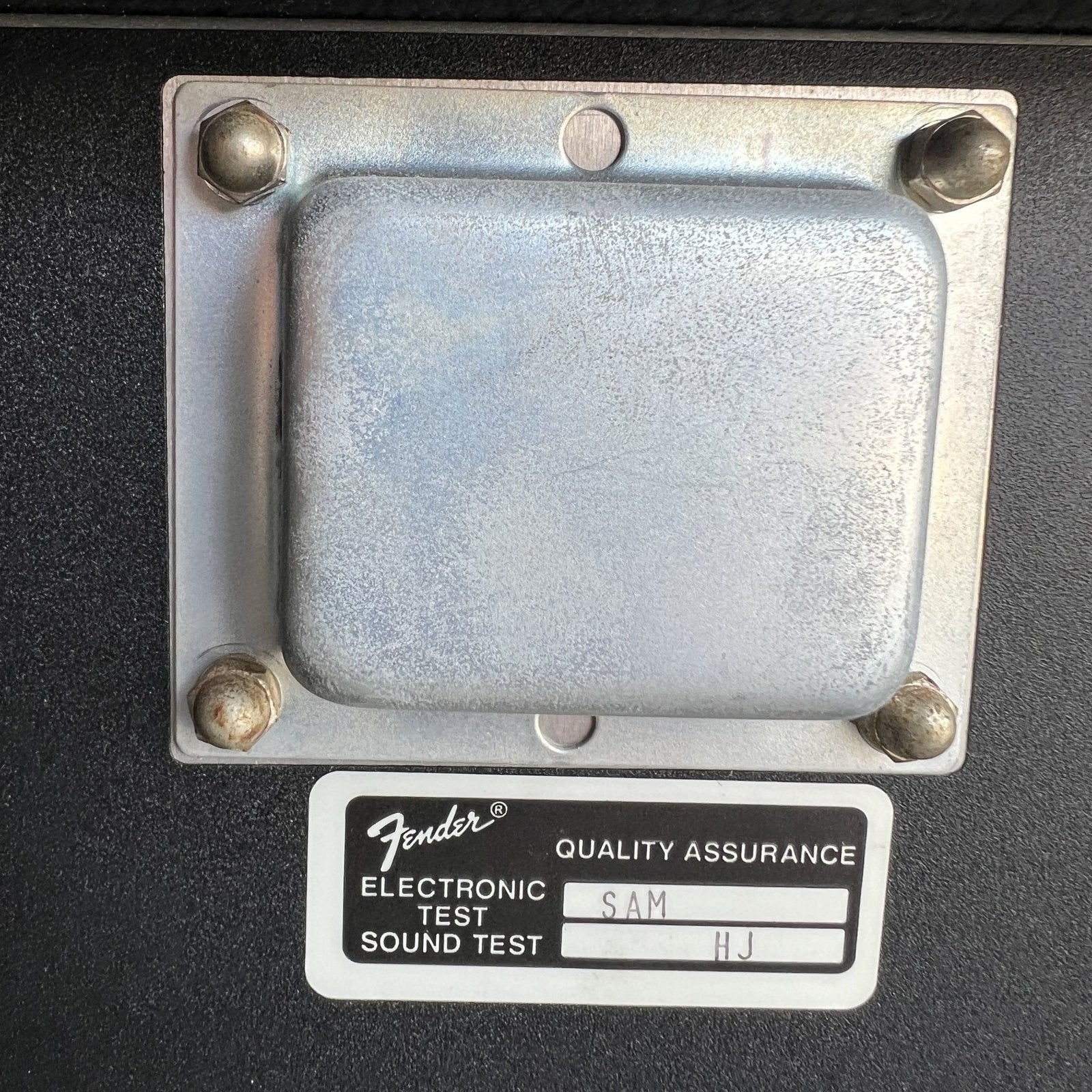 Fender Princeton Chorus 2x10 Guitar Amplifier