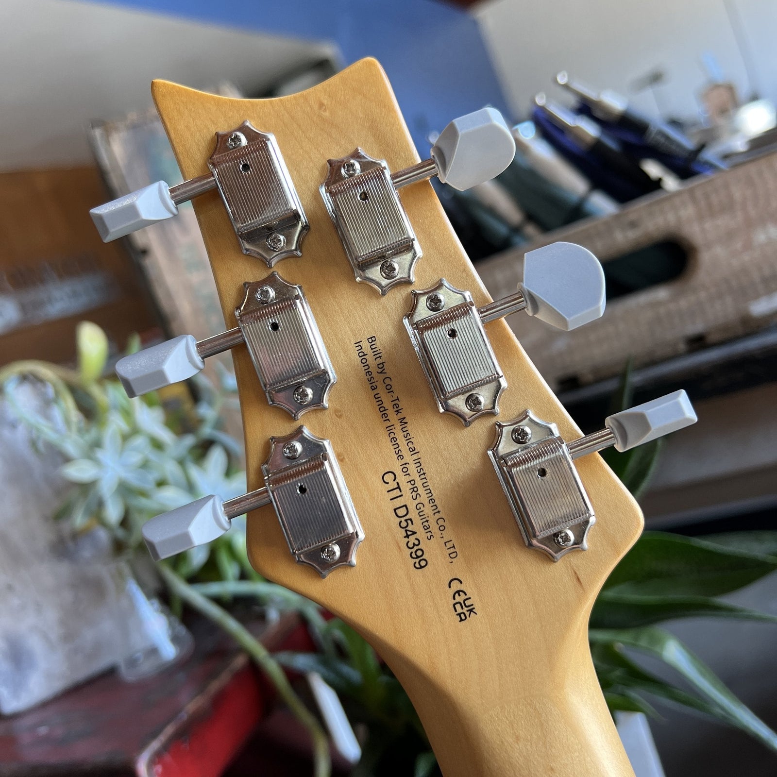 2021 PRS SE Silver Sky - Ever Green