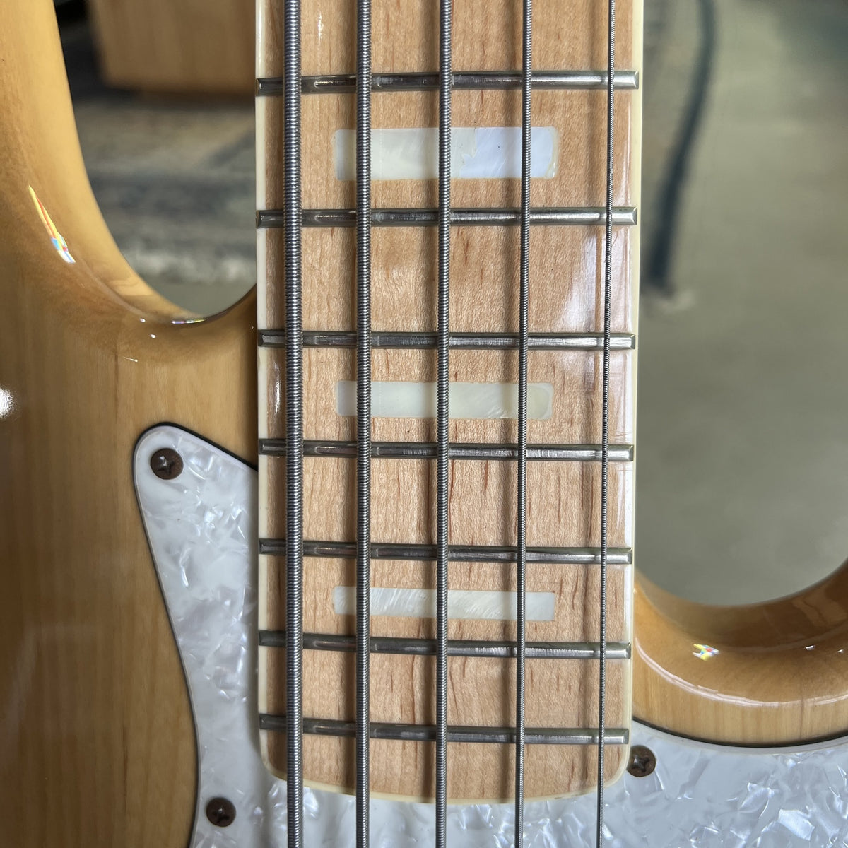 Certain Bass Elita Model 500 - 5 String J-Style