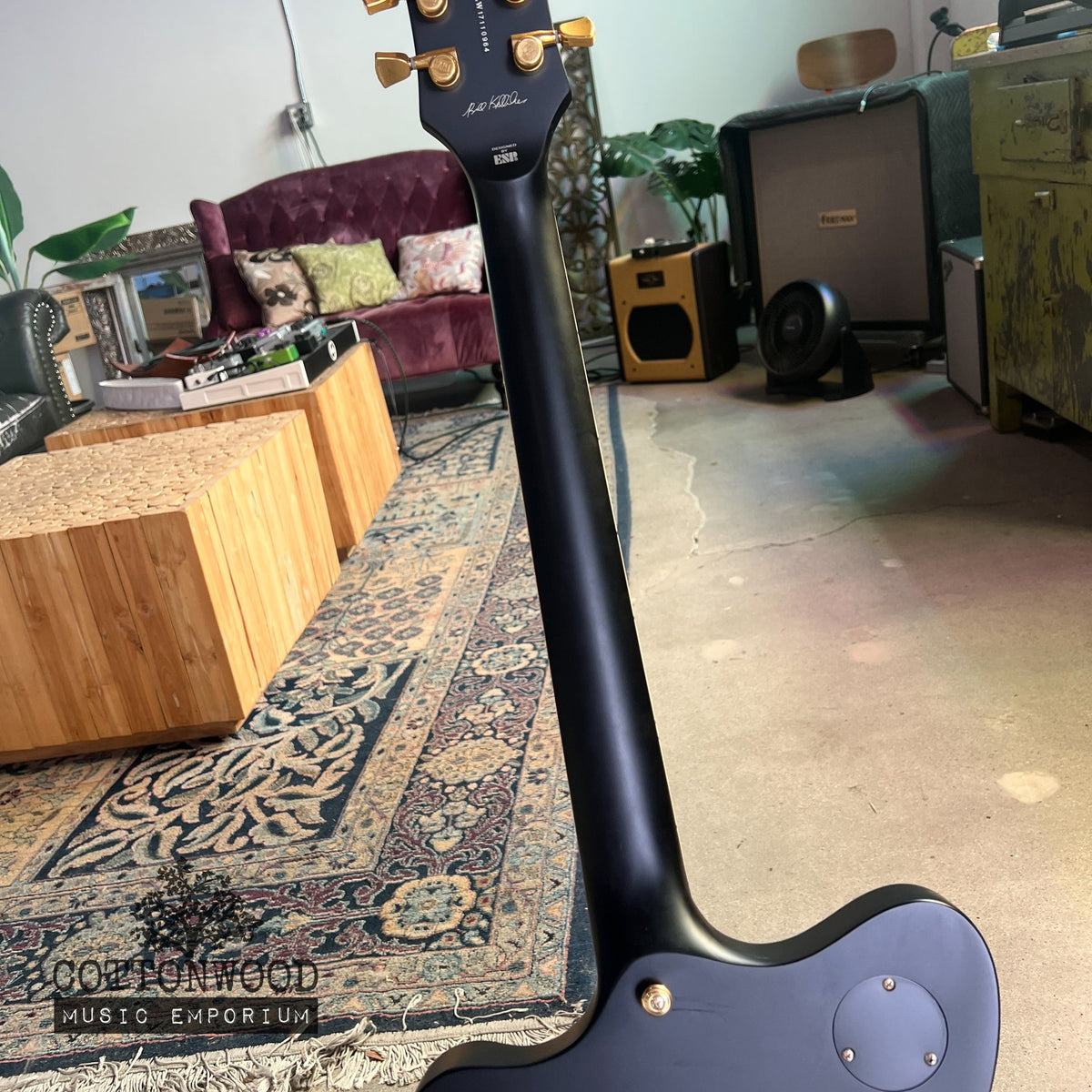 ESP LTD Sparrowhawk Bill Kelliher Signature - Silverburst