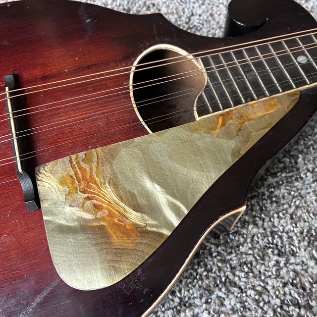 Vintage 1920’s Regal Acoustic Mandolin & Case Reverse Scroll