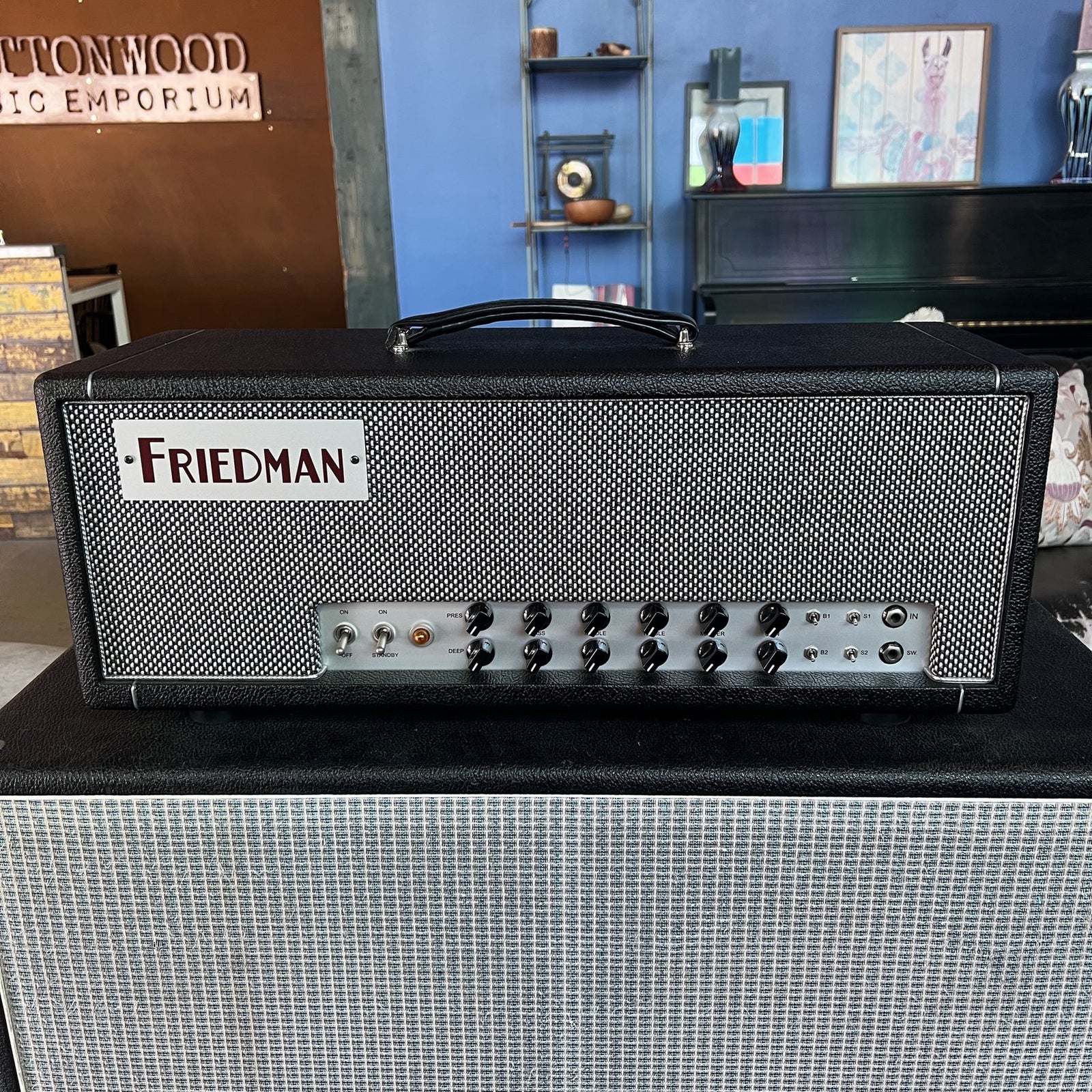 Friedman Twin Sister 40-Watt Dual-Channel Head