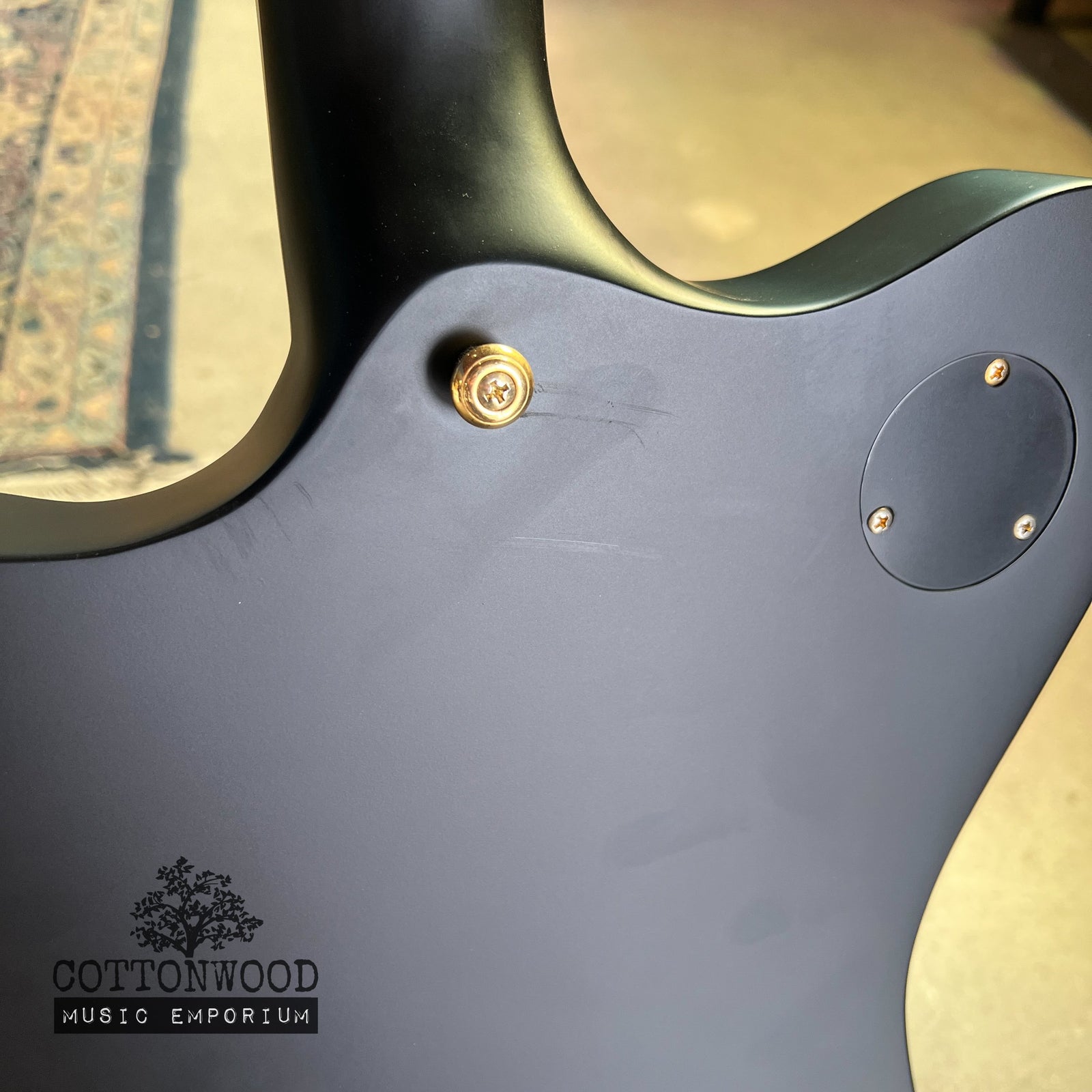 ESP LTD Sparrowhawk Bill Kelliher Signature - Silverburst