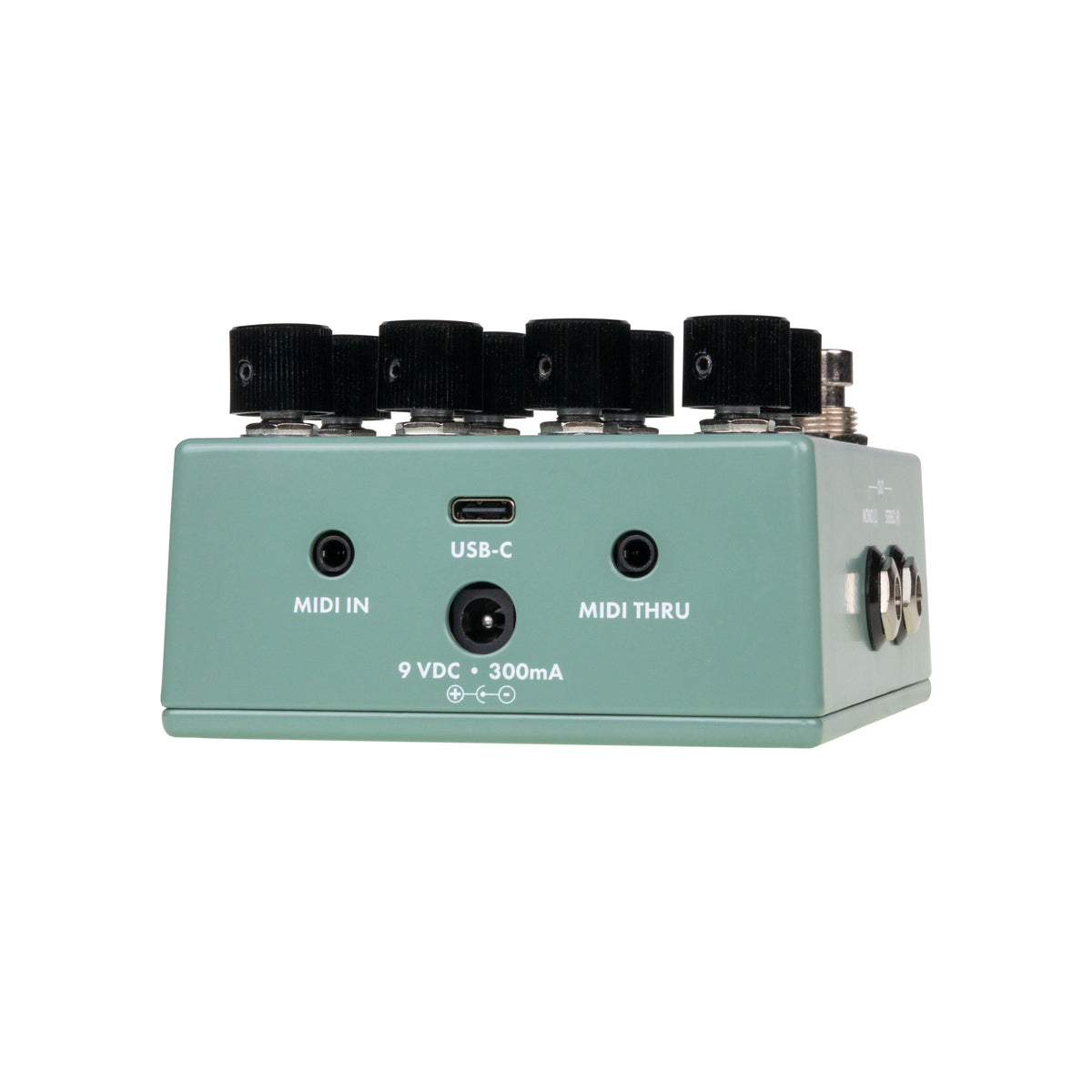 Walrus Audio Lore MKII Reverse Soundscape Generator Stereo Ambient Pedal - Green