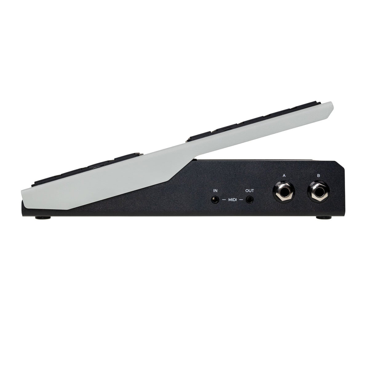 Walrus Audio Canvas Expression Pedal