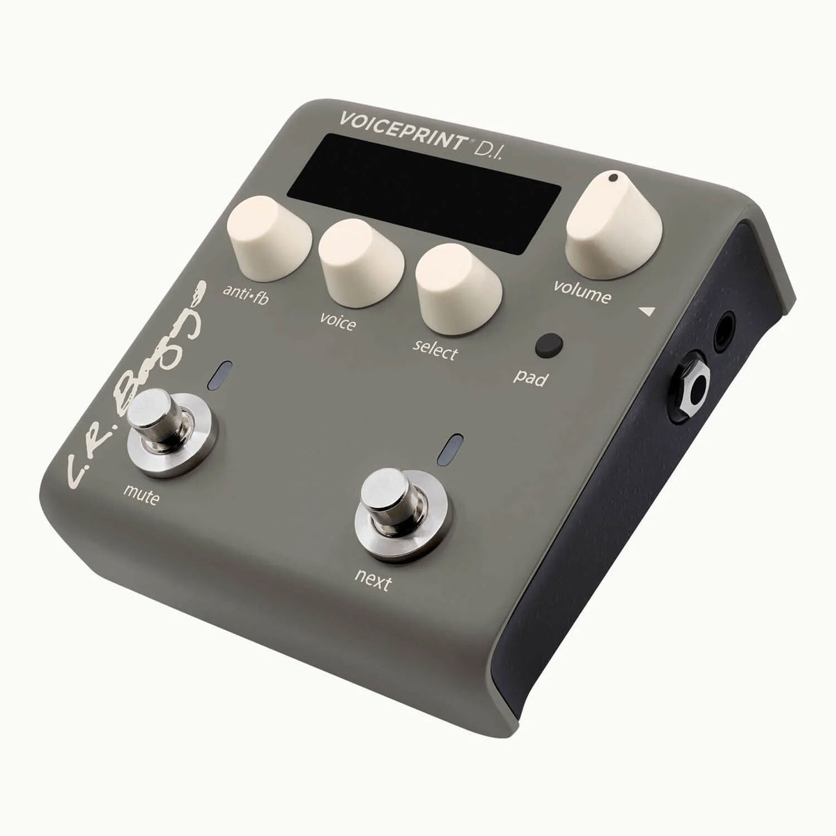 L.R. Baggs Voiceprint DI