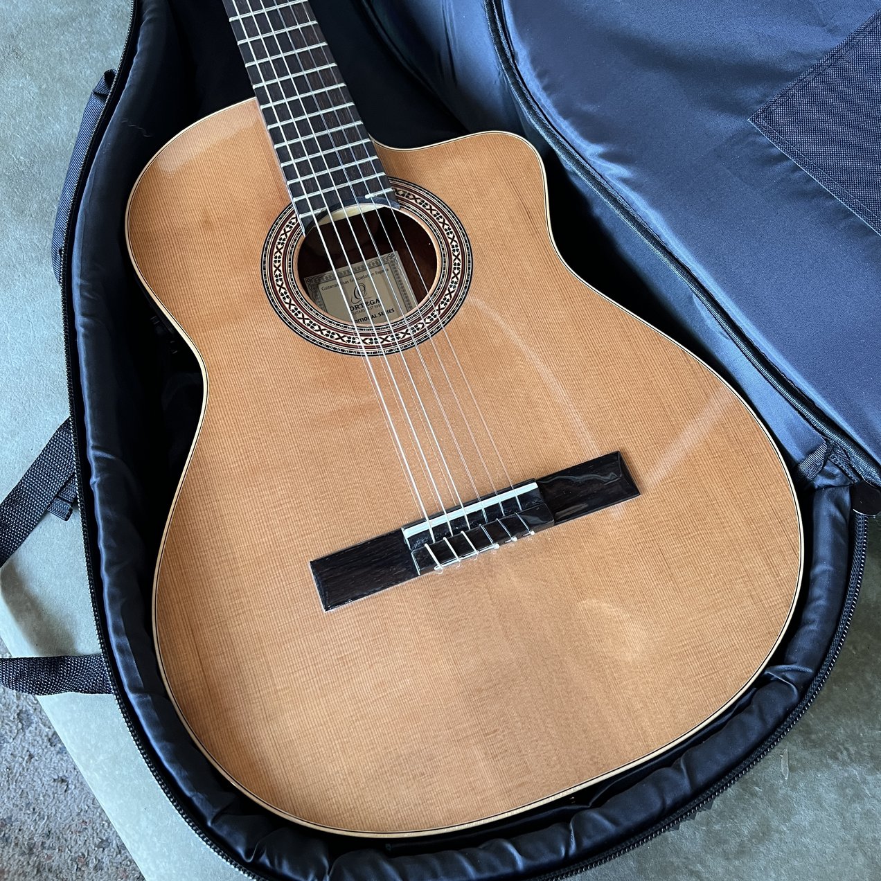 Ortega Guitars RCE180GT Thinline