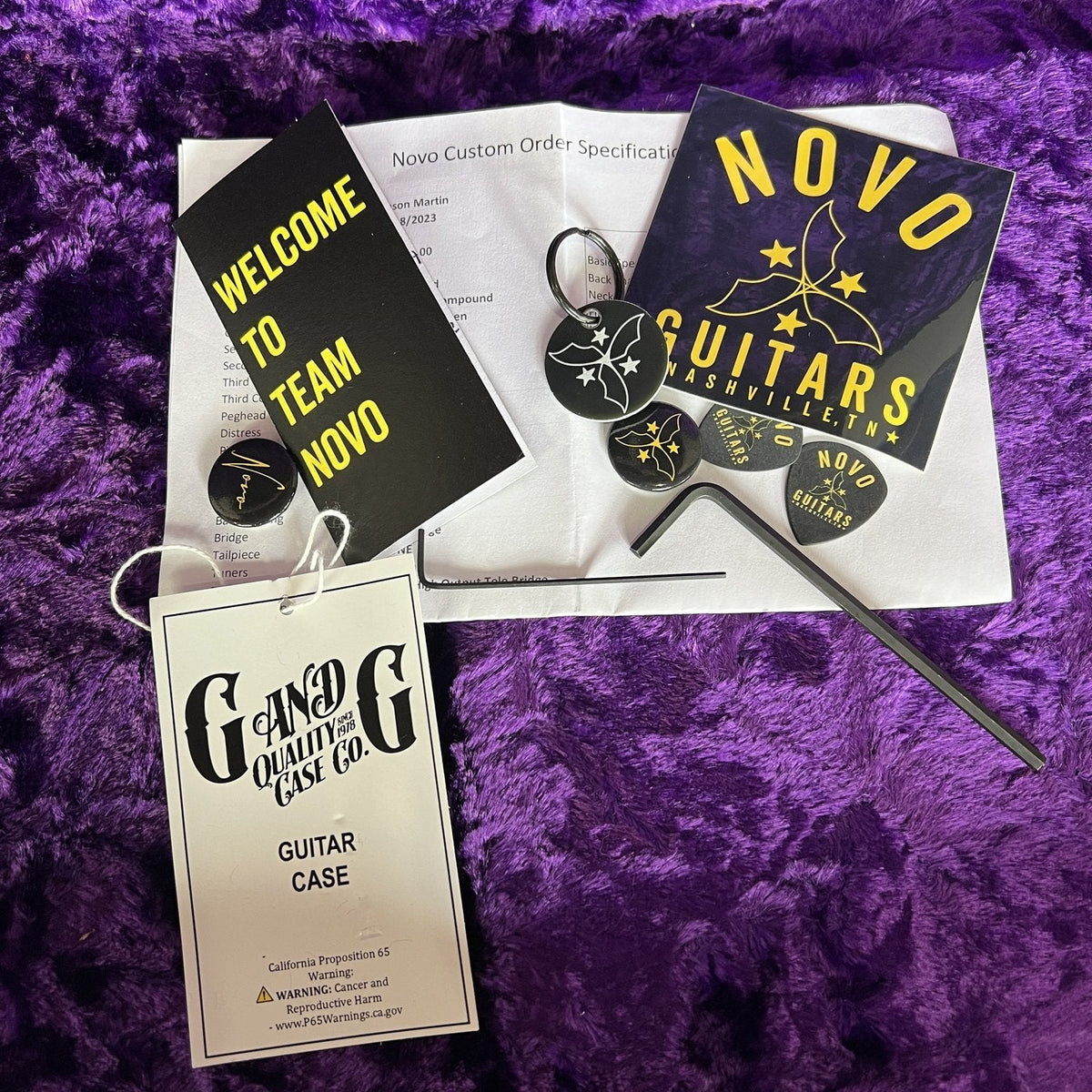 Novo Guitars Solus F1