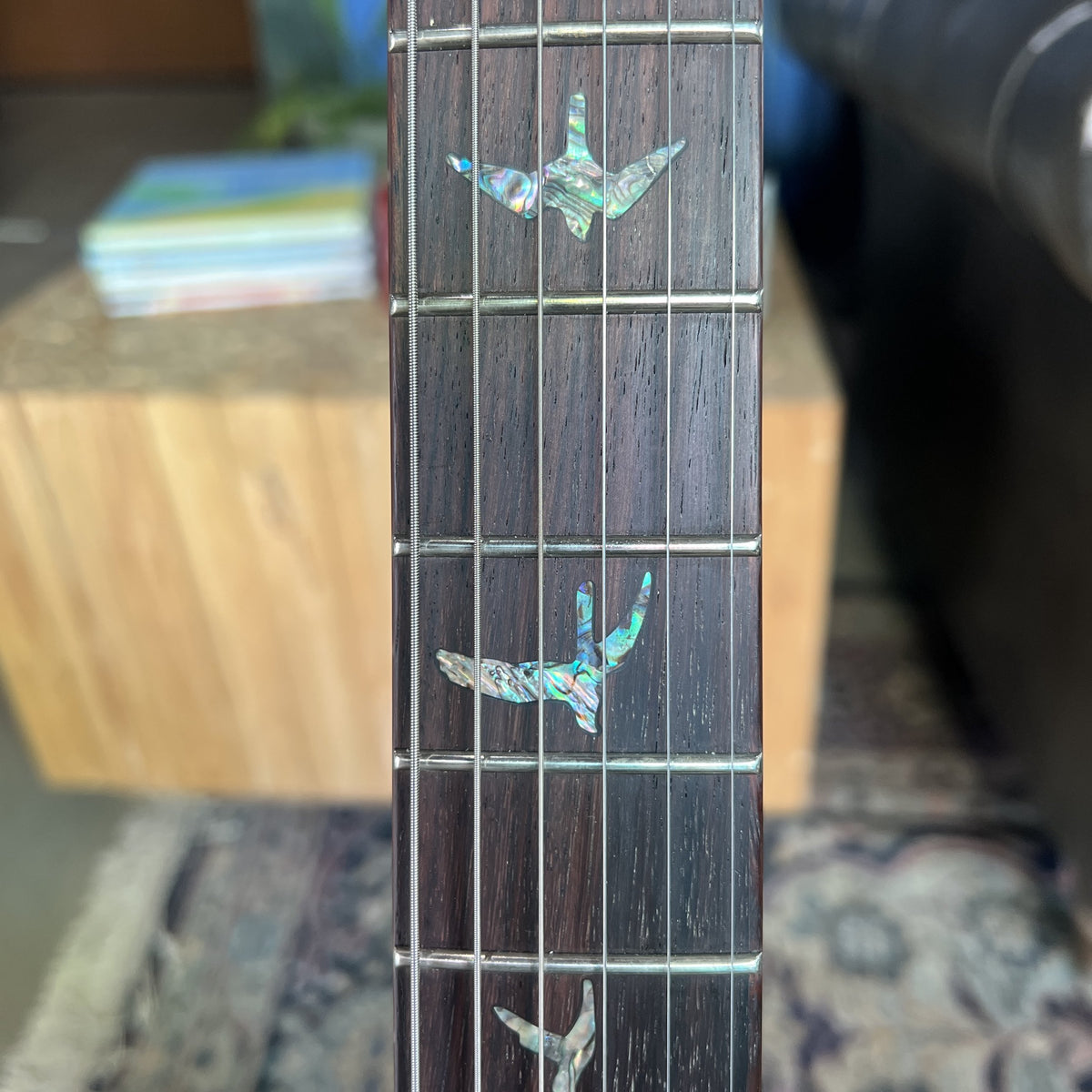 2024 PRS SE Paul's Guitar: Premium Tone with TCI "S" Pickups & Brass Stoptail