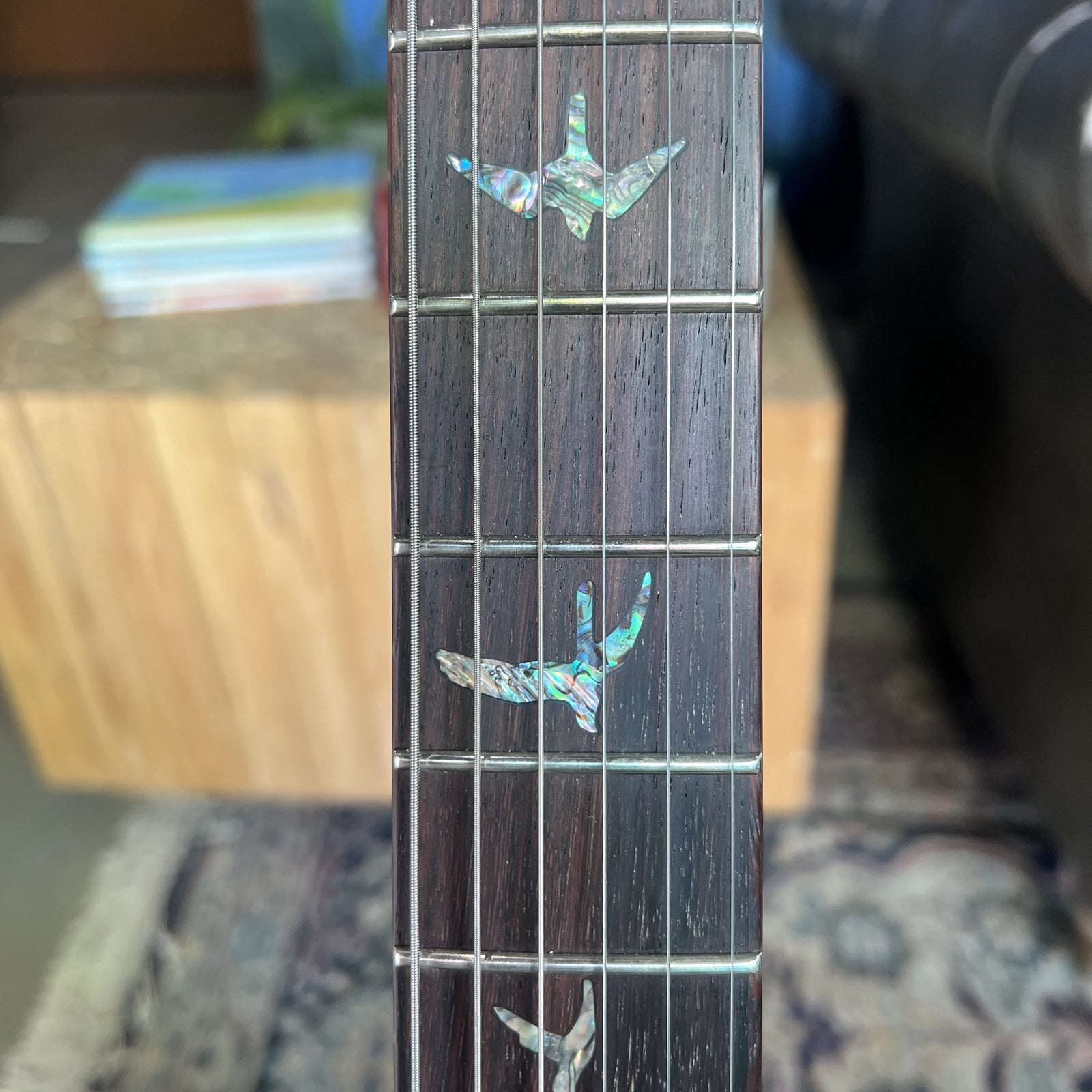 2024 PRS SE Paul's Guitar: Premium Tone with TCI "S" Pickups & Brass Stoptail