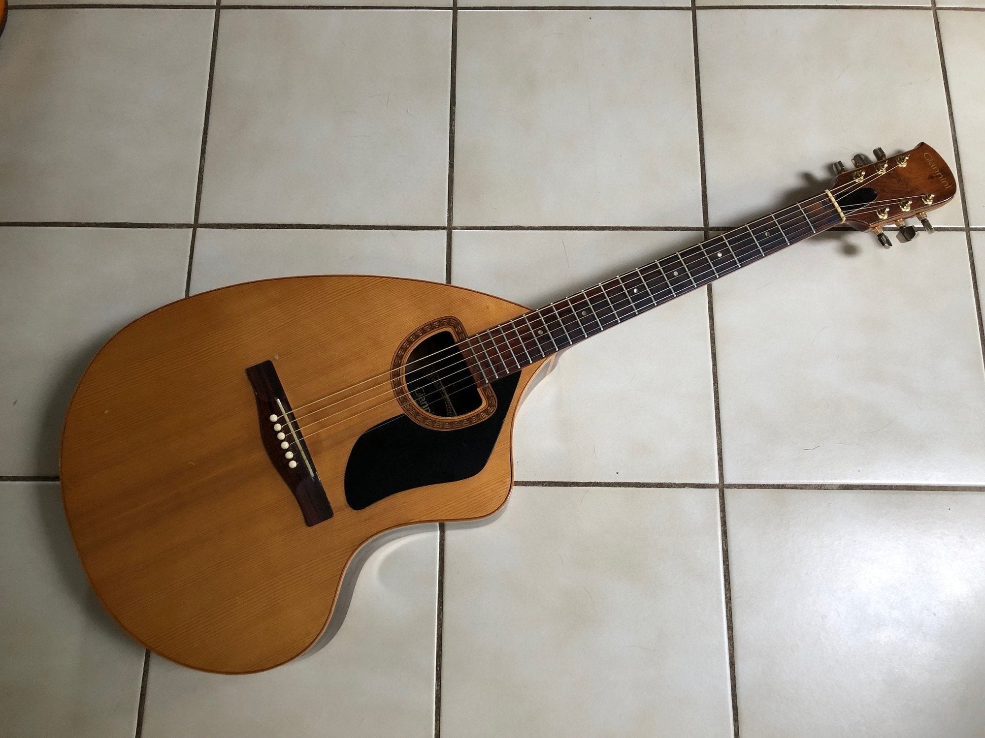 Vintage 1970’s Giannini Craviola Acoustic Guitar w/Case