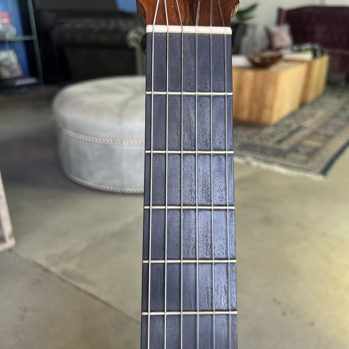 Salvador Castillo Spruce Standard