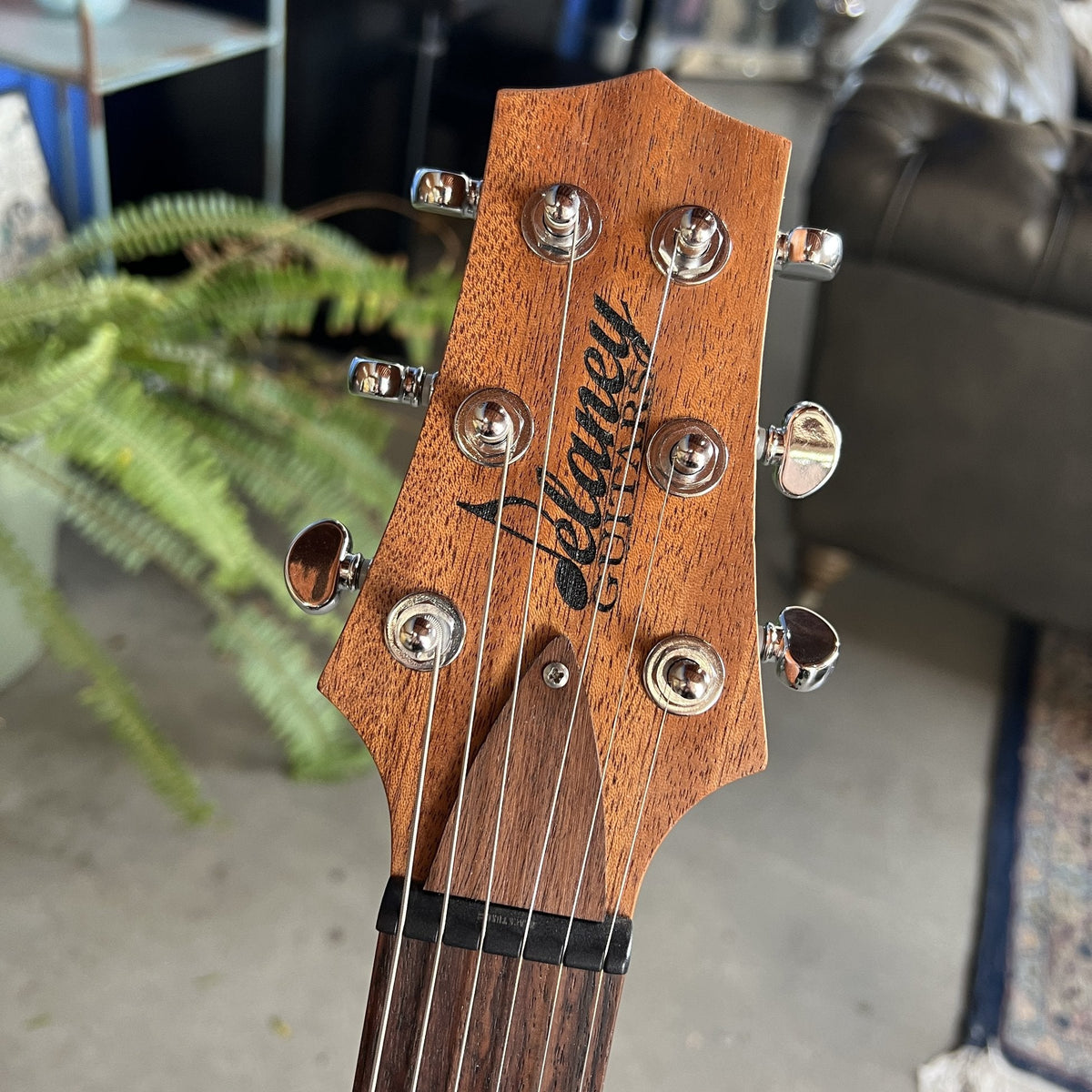 Delaney Guitars 512 - 2019