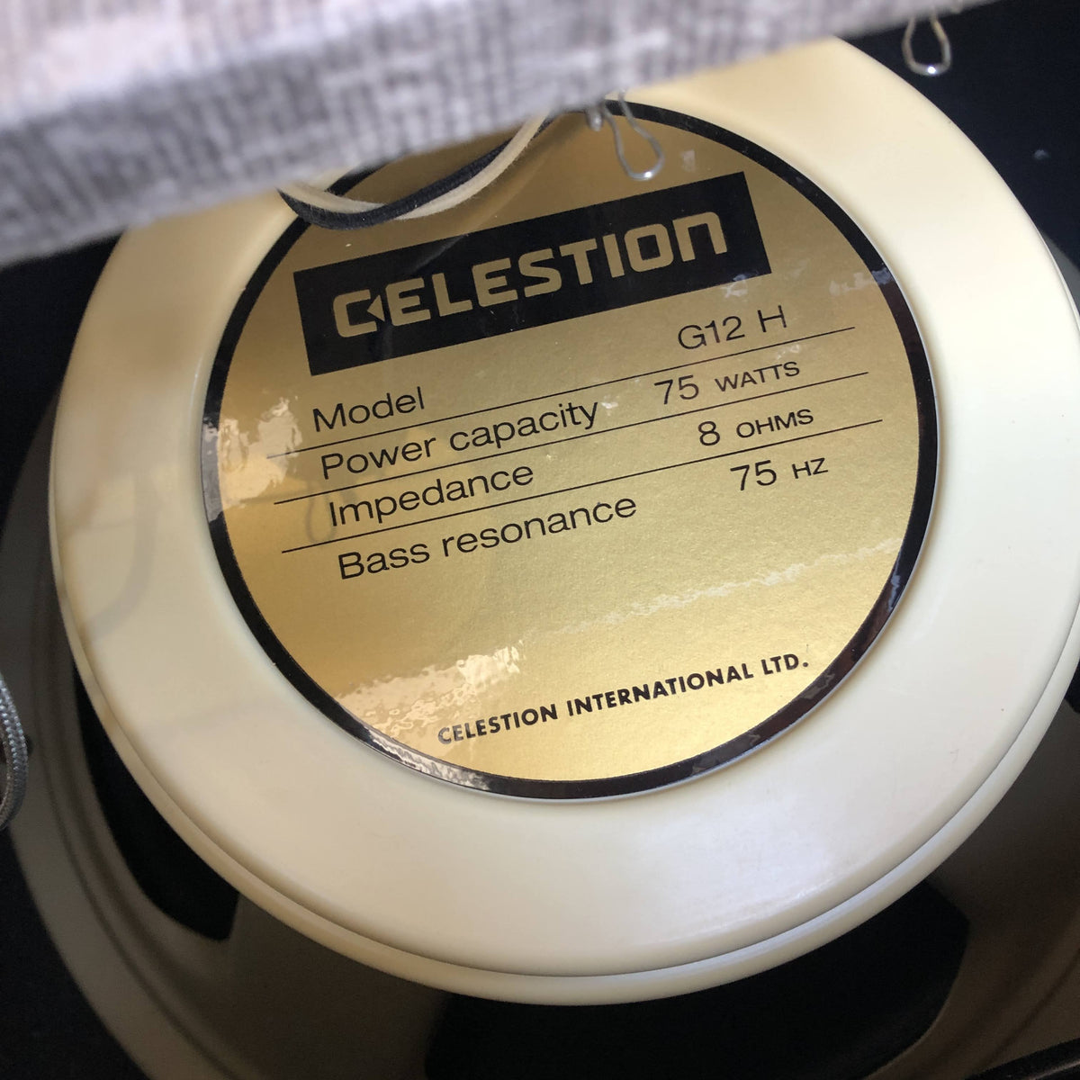 Swart Amplifier MOD 84 - Fawn - Celestion Creamback