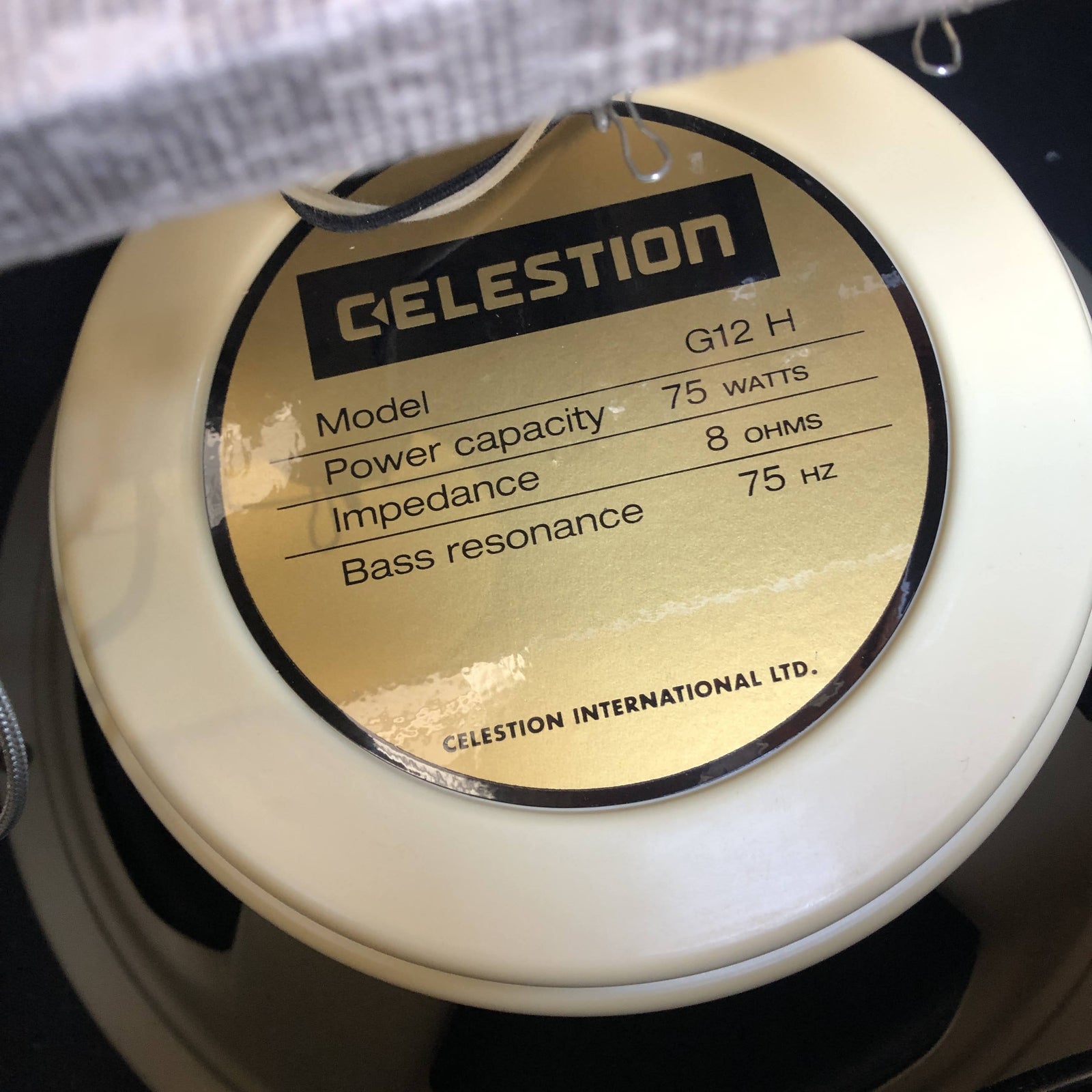 Swart Amplifier MOD 84 - Fawn - Celestion Creamback