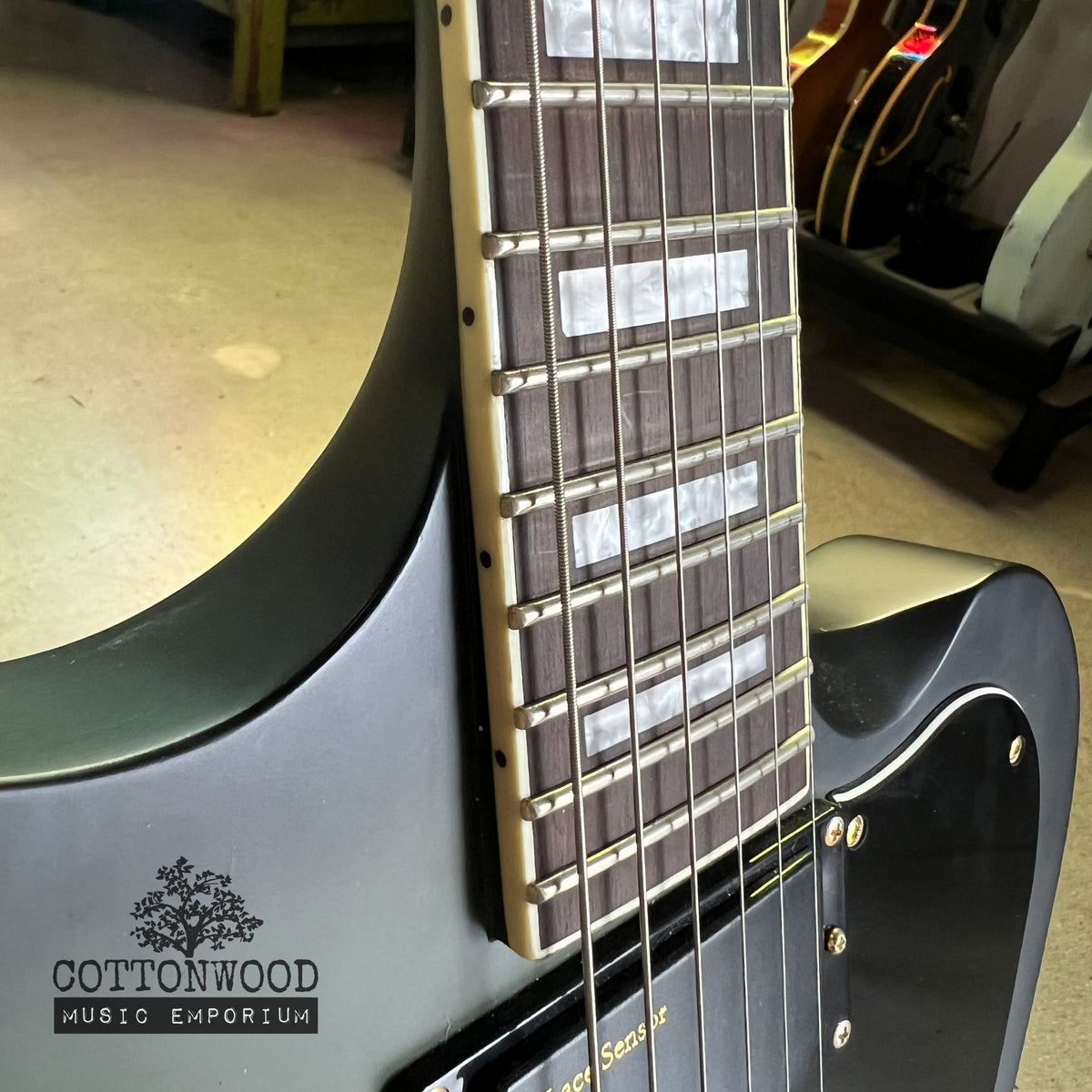 ESP LTD Sparrowhawk Bill Kelliher Signature - Silverburst