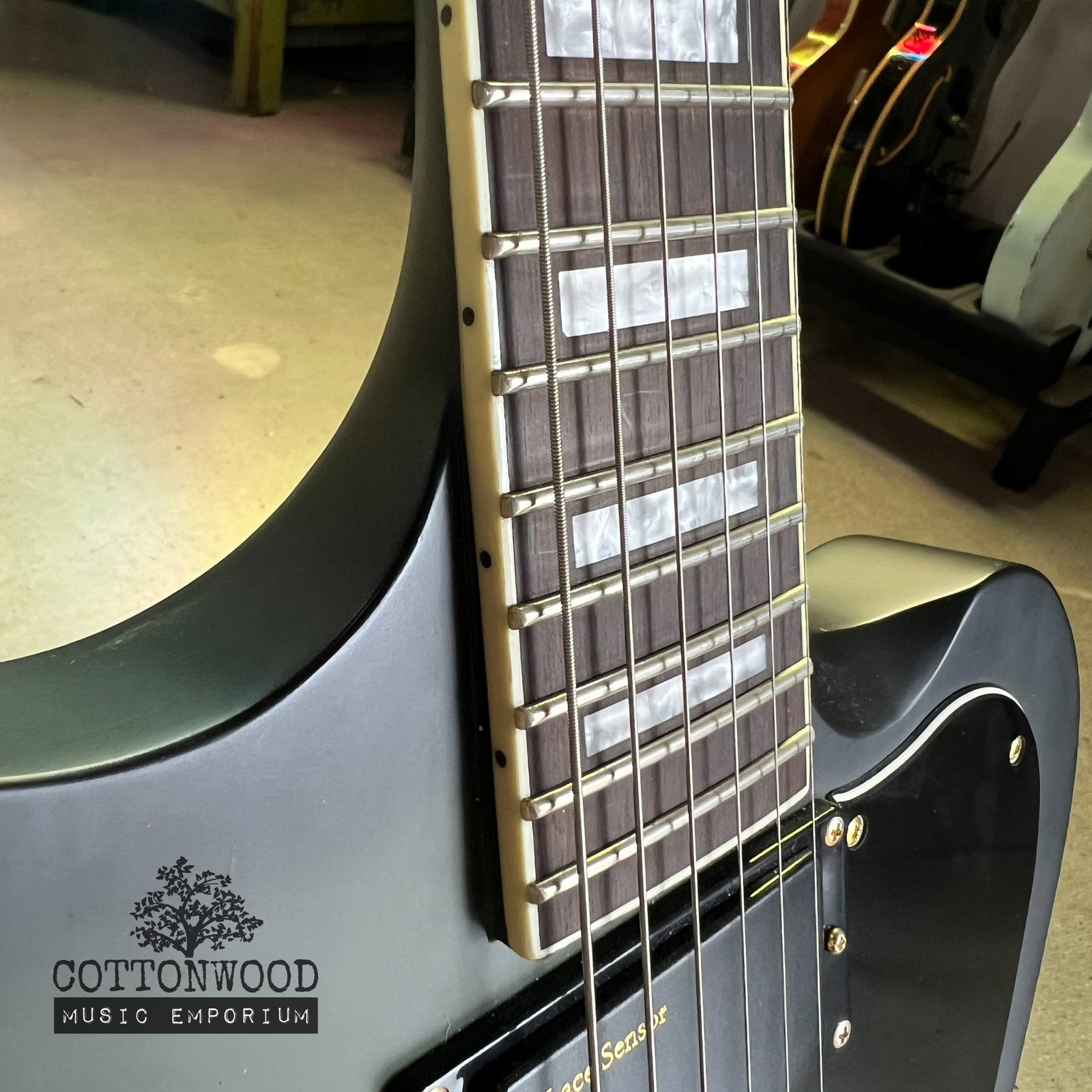 ESP LTD Sparrowhawk Bill Kelliher Signature - Silverburst