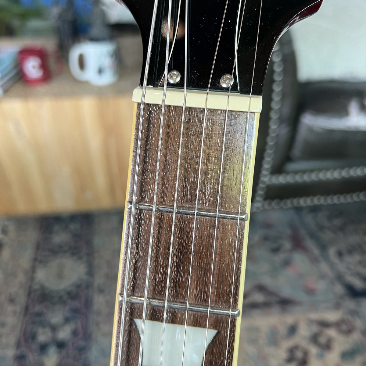 2010 Epiphone Les Paul Premium – Slash "Appetite for Destruction" Limited Edition (1 of 3,000)