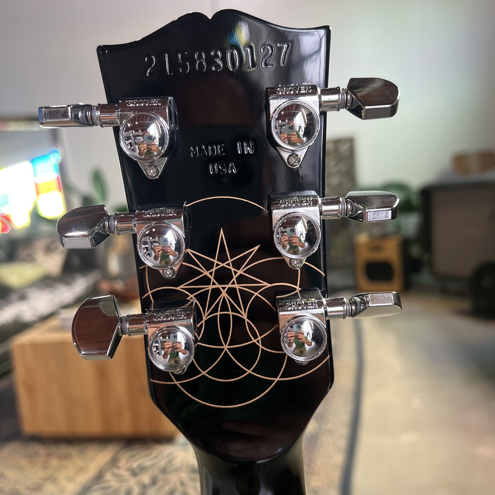 Gibson Les Paul Standard Adam Jones - Silver Burst
