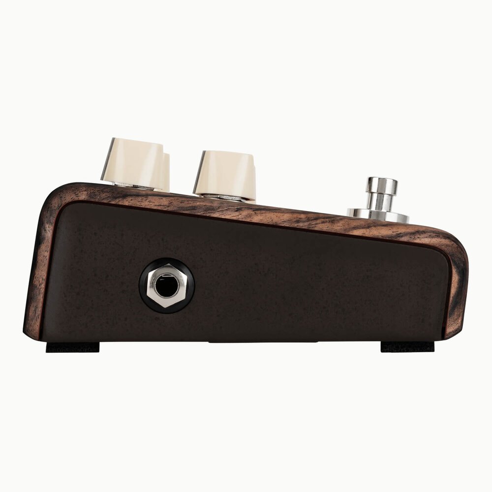 L.R. Baggs Align Series Chorus