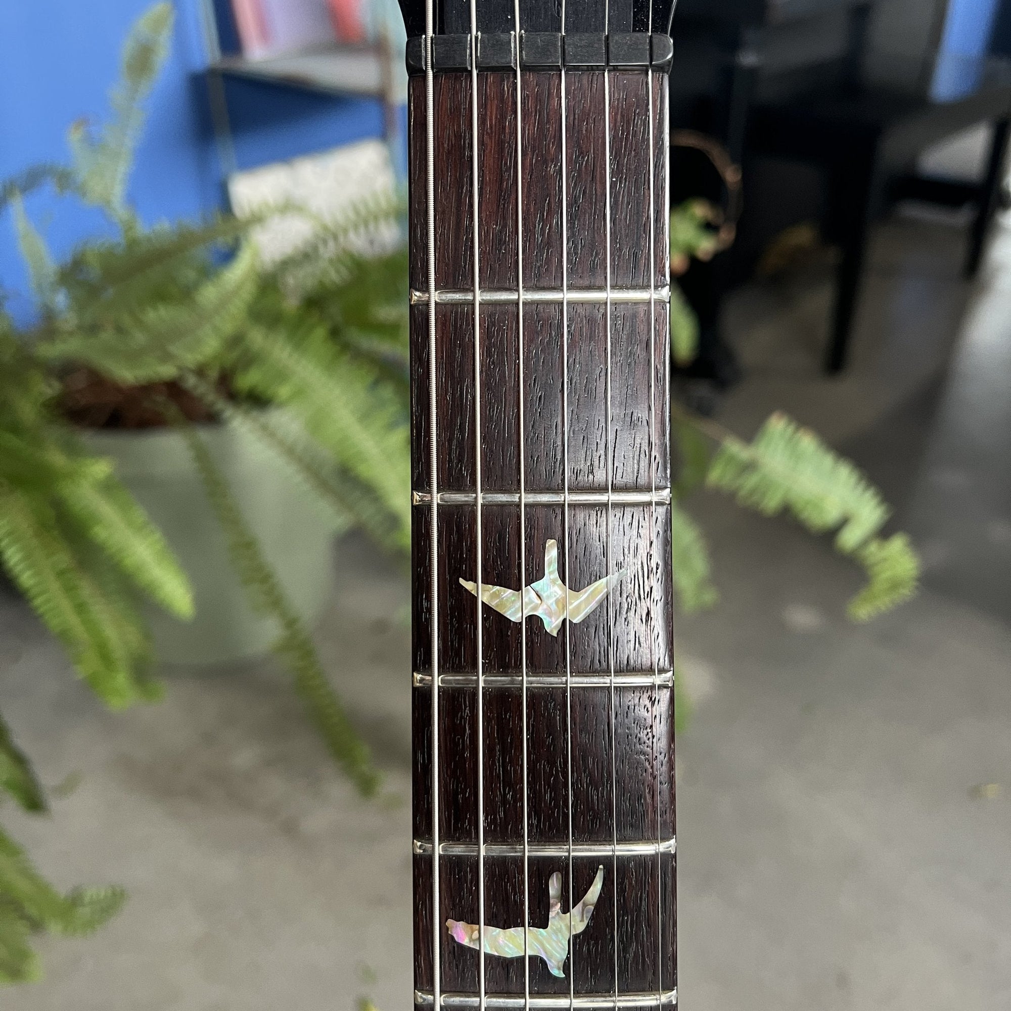 2005 PRS Custom 22 - 20th Anniversary