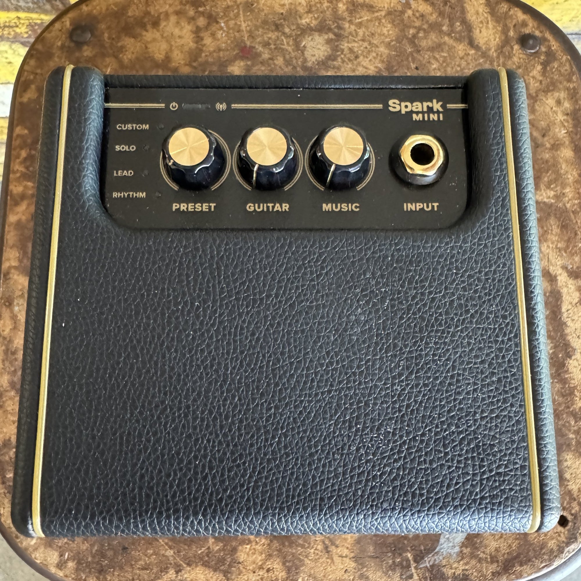 Positive Grid Spark MINI