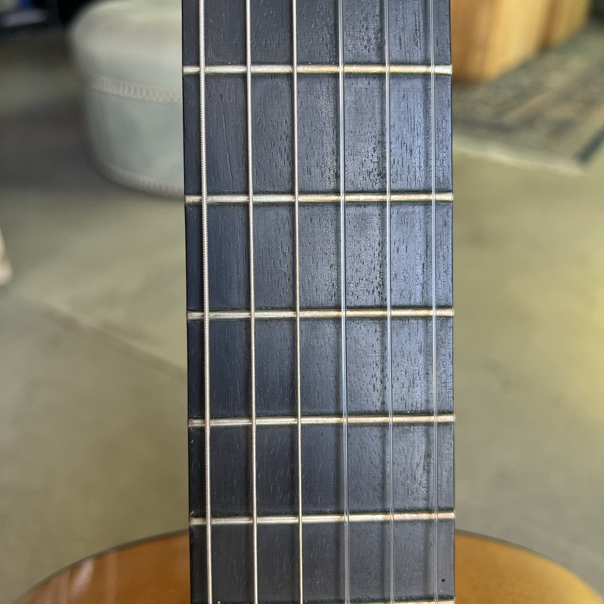 Salvador Castillo Spruce Standard